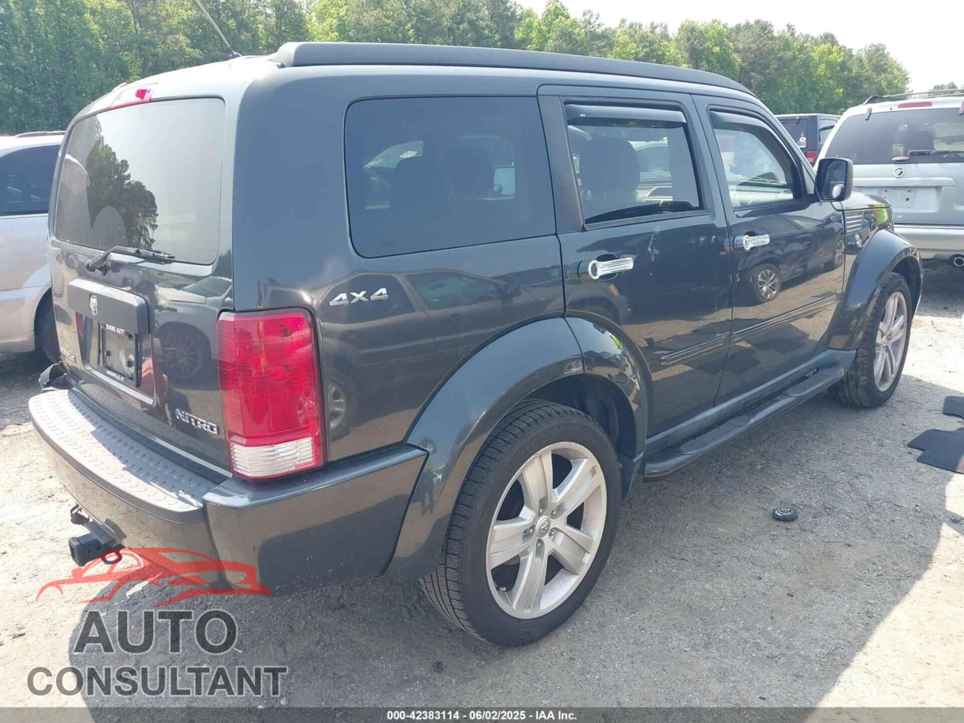 DODGE NITRO 2011 - 1D4PU4GK2BW576743