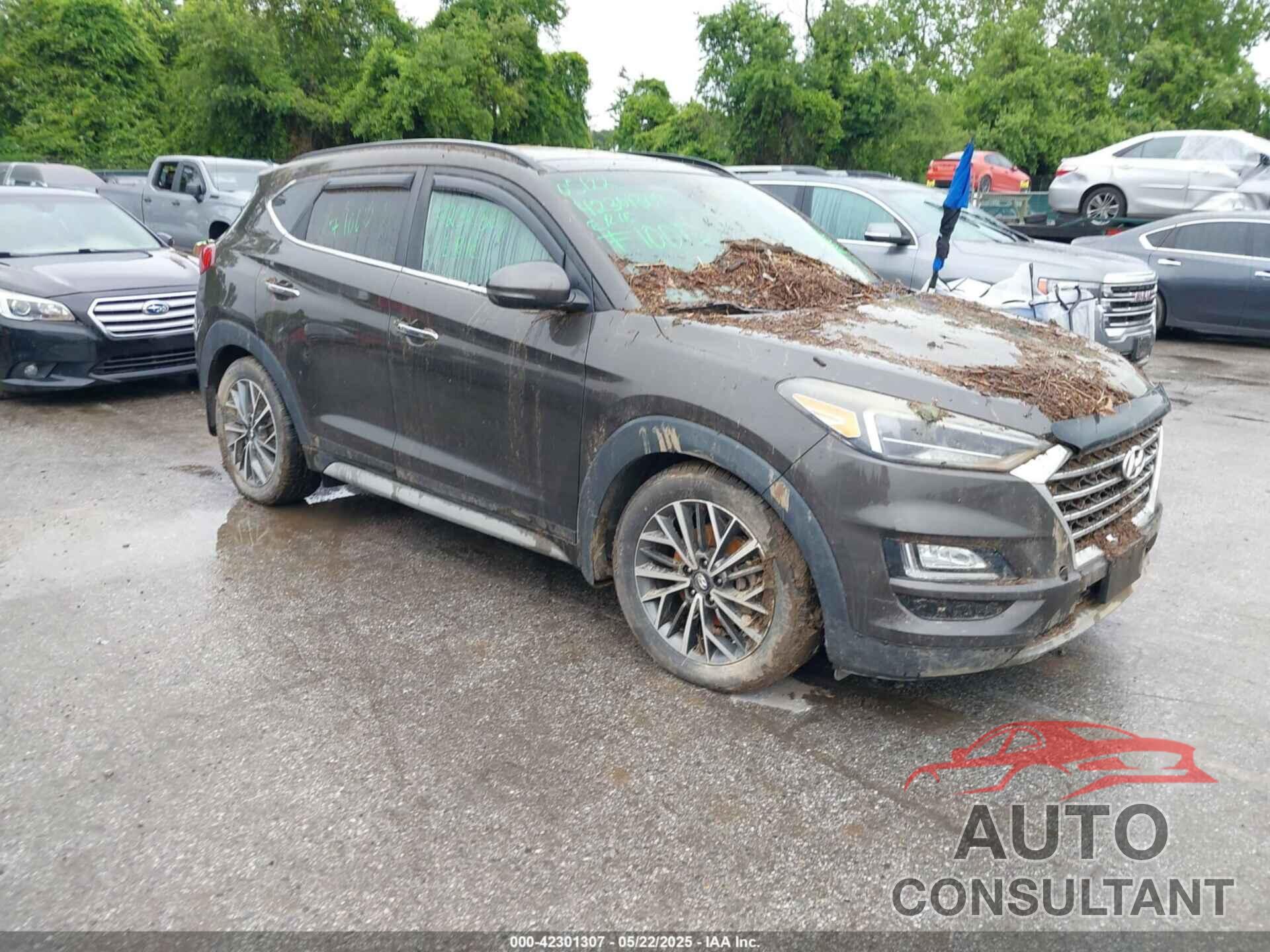 HYUNDAI TUCSON 2019 - KM8J33AL5KU904519
