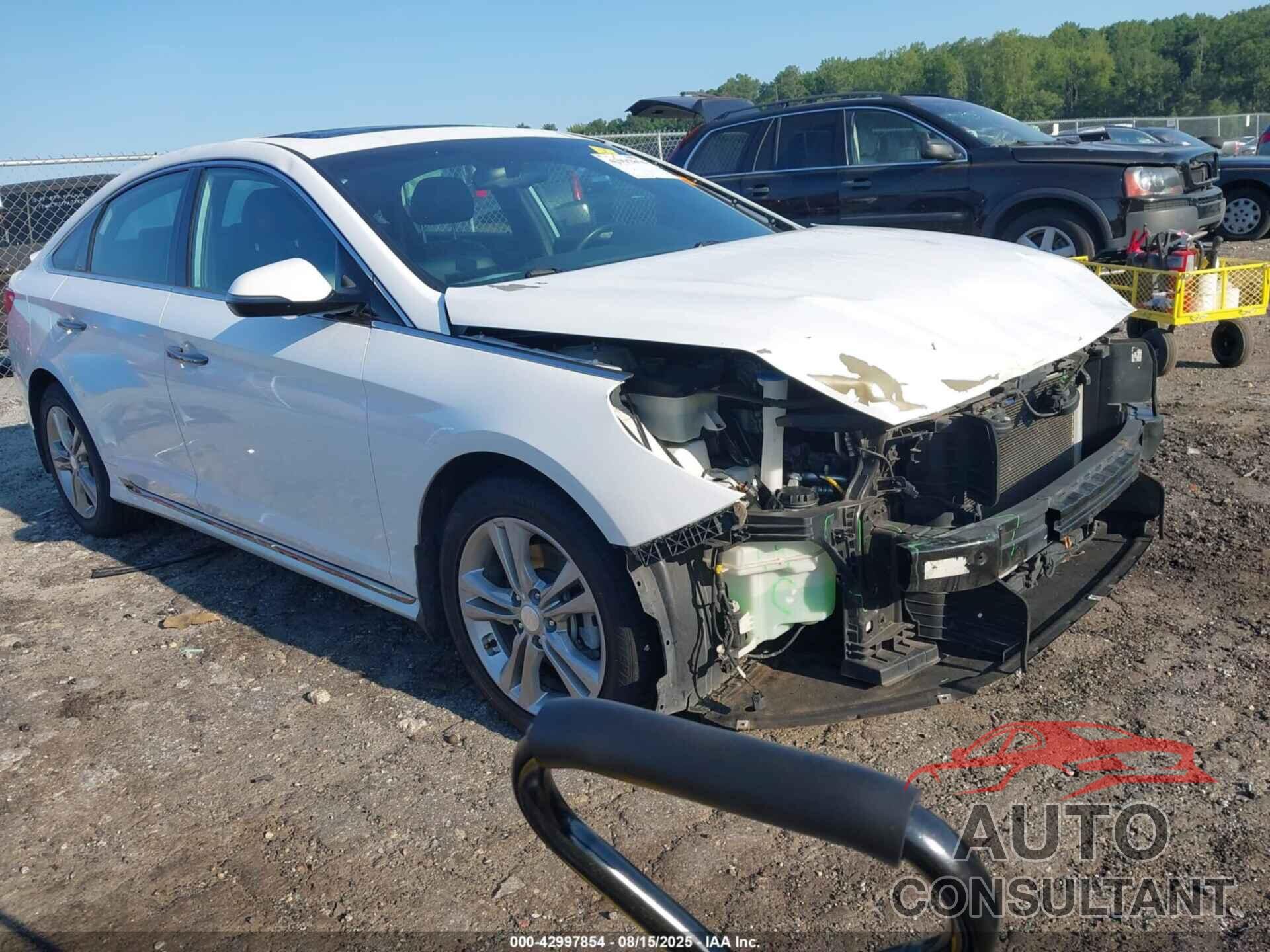 HYUNDAI SONATA 2019 - 5NPE34AF1KH805258