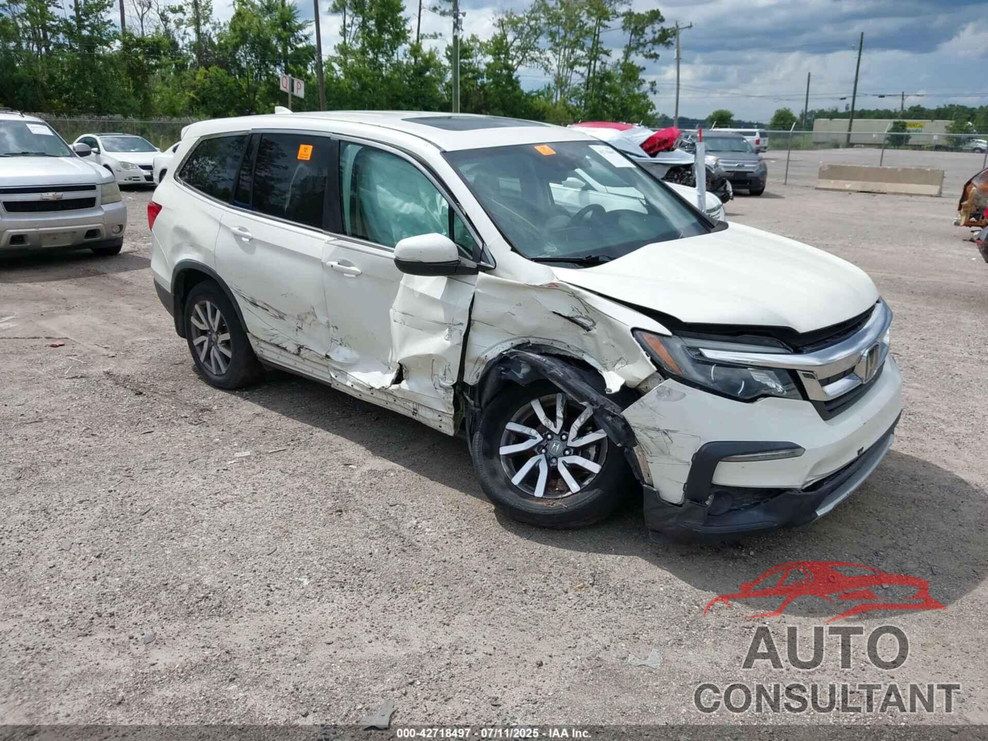 HONDA PILOT 2019 - 5FNYF6H49KB067552