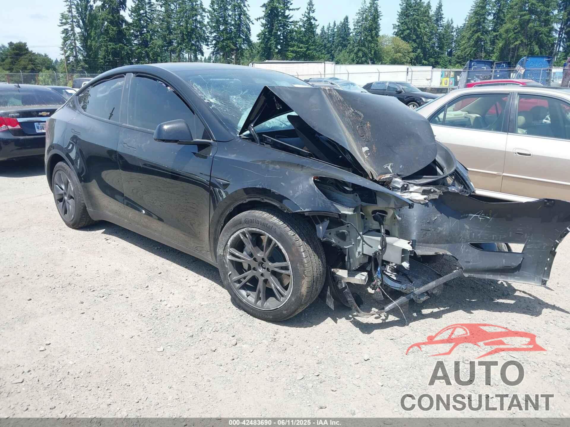 TESLA MODEL Y 2024 - 7SAYGDEE5RF126186