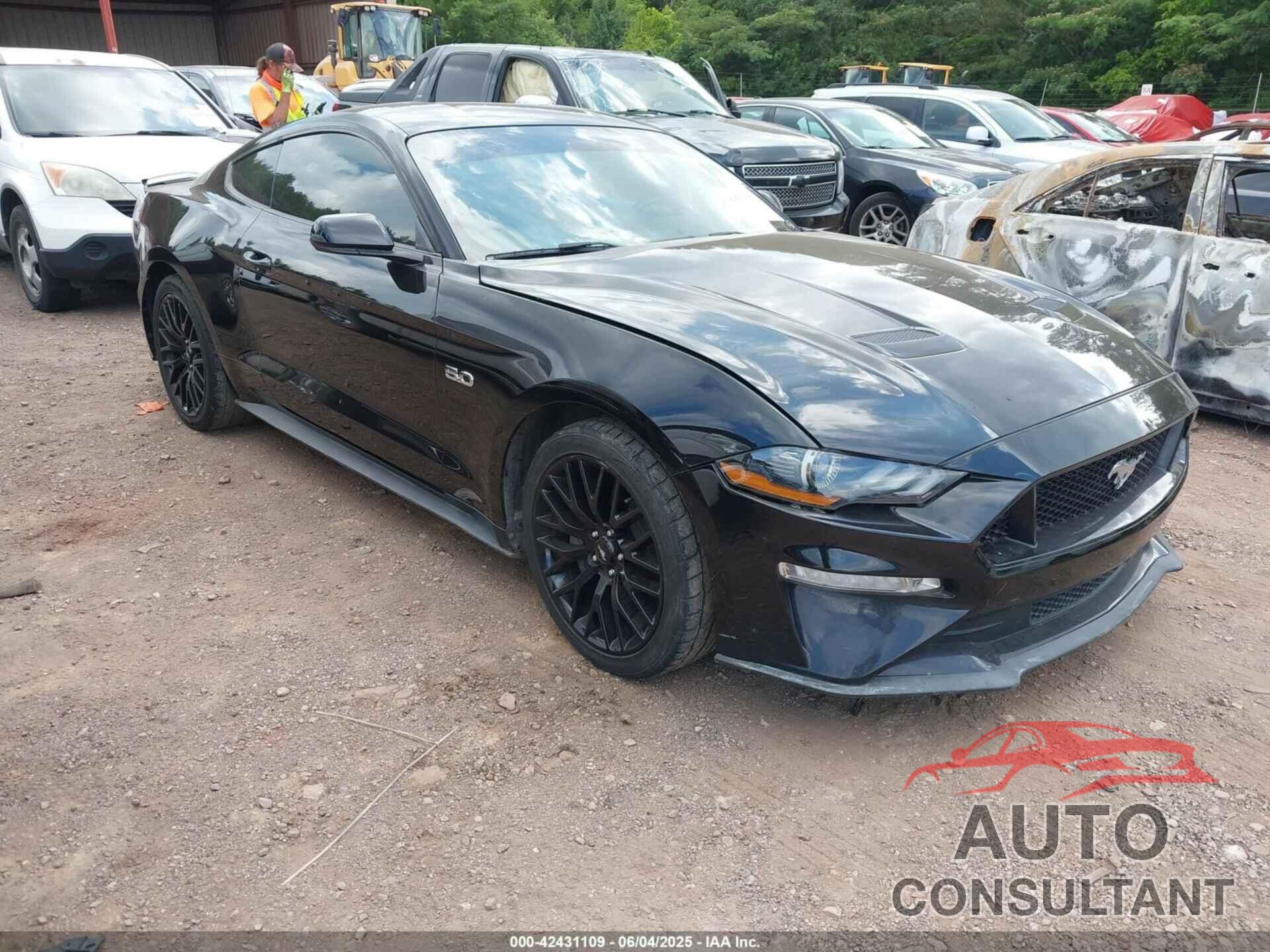 FORD MUSTANG 2019 - 1FA6P8CF3K5176296