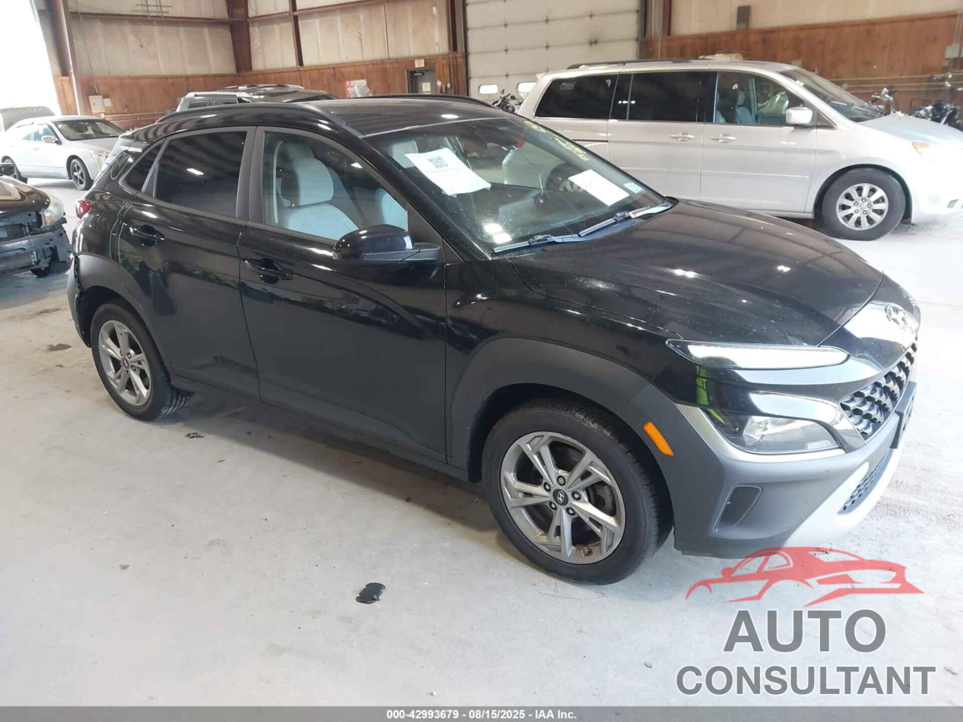 HYUNDAI KONA 2023 - KM8K6CAB9PU933175