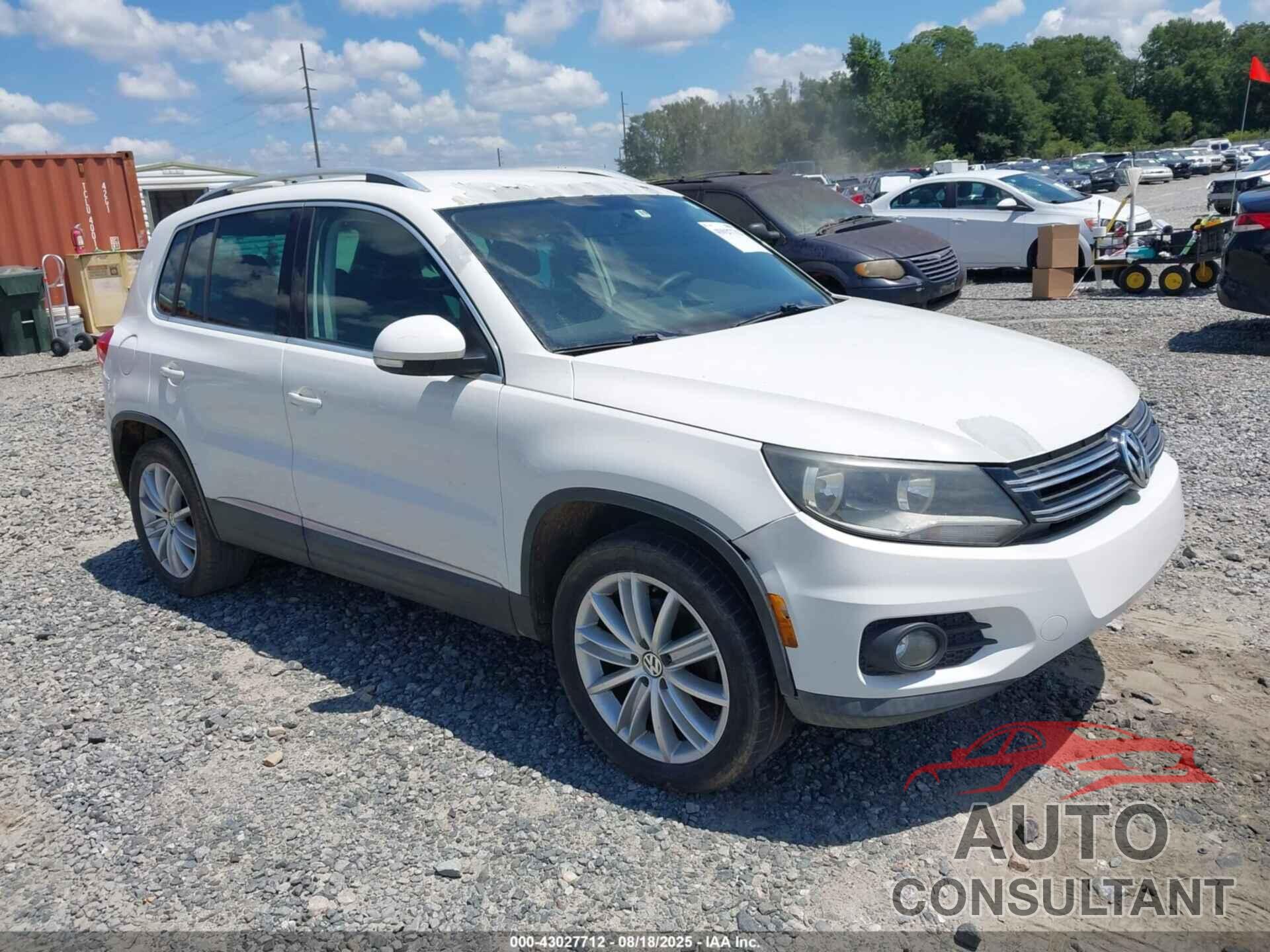 VOLKSWAGEN TIGUAN 2013 - WVGAV3AXXDW572100