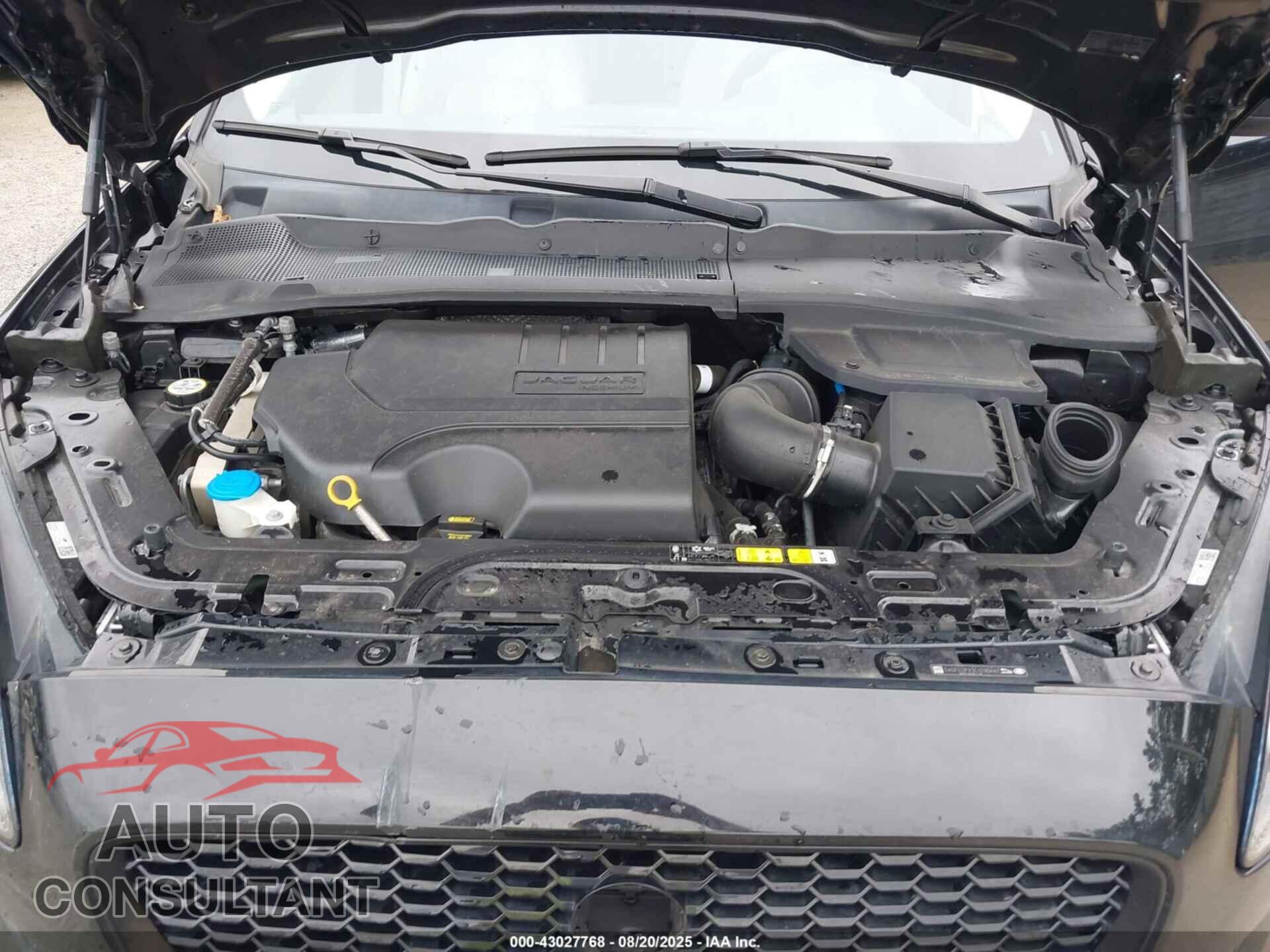JAGUAR E-PACE 2020 - SADFK2FX3L1Z90441