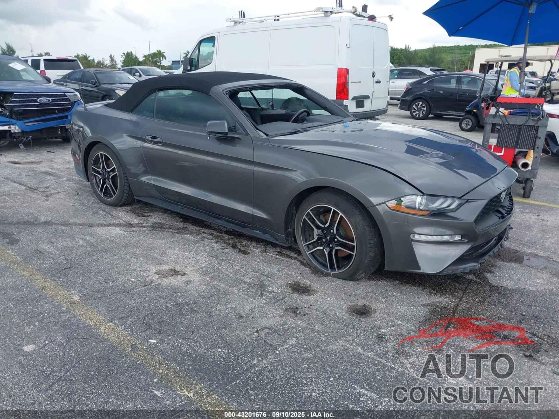 FORD MUSTANG 2019 - 1FATP8UH3K5138747