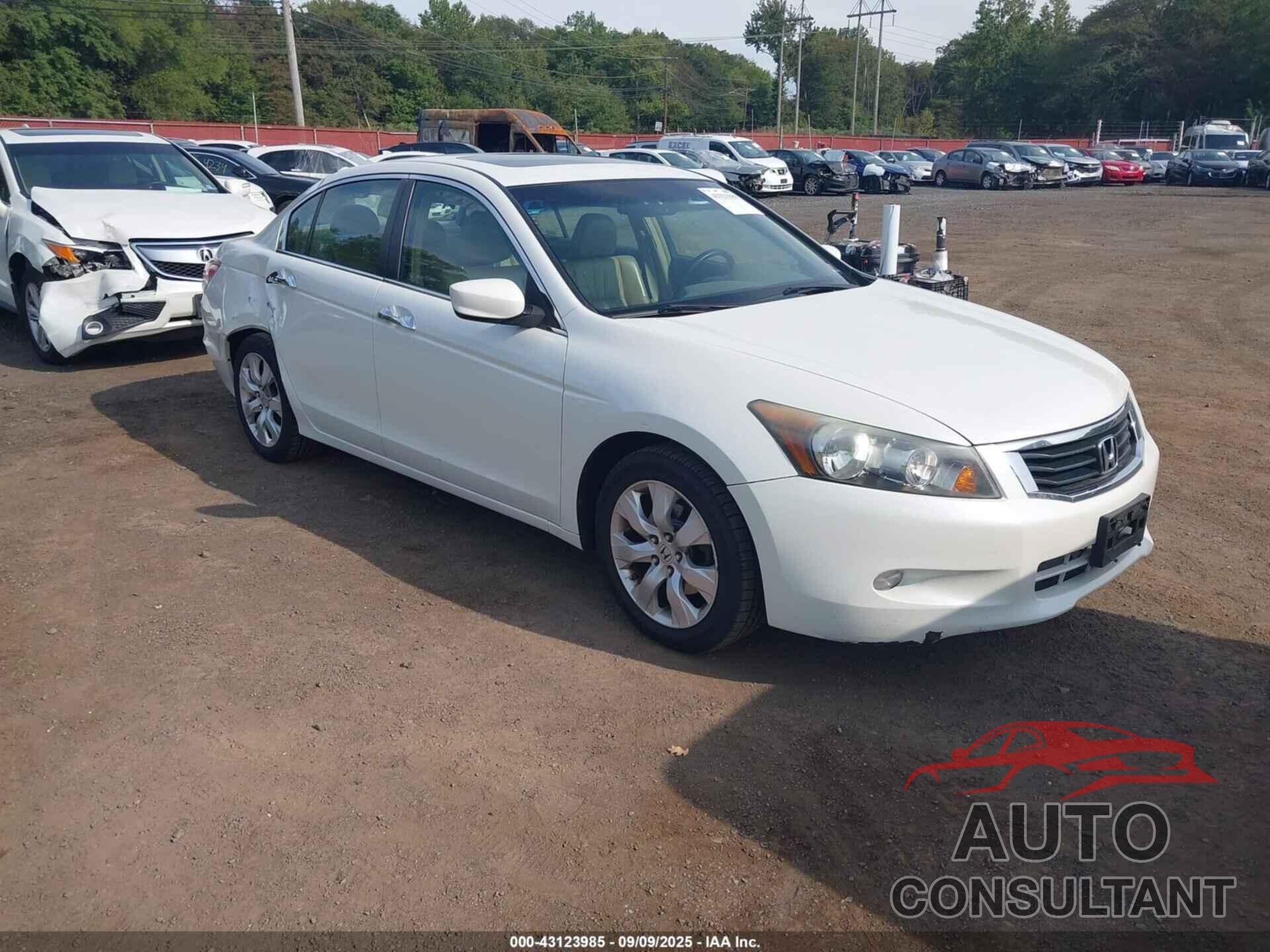 HONDA ACCORD 2009 - 1HGCP36889A043808