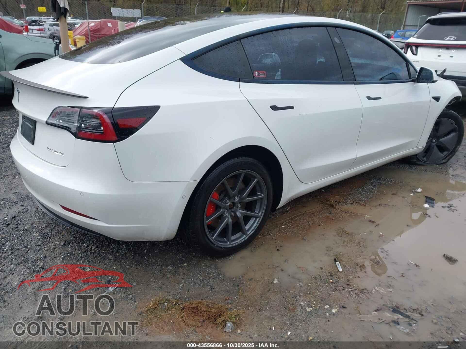 TESLA MODEL 3 2021 - 5YJ3E1EC2MF062658