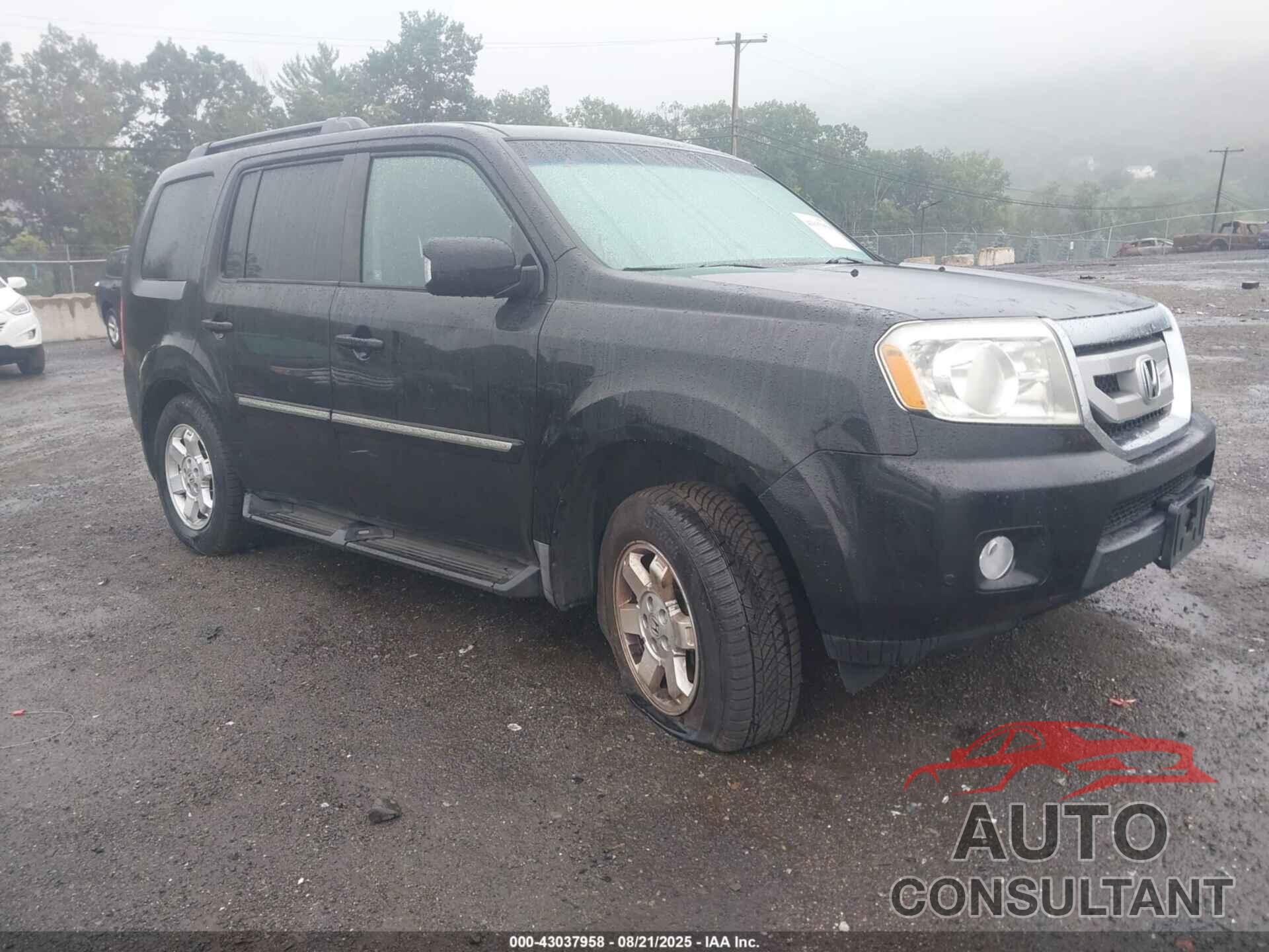HONDA PILOT 2010 - 5FNYF4H84AB011640