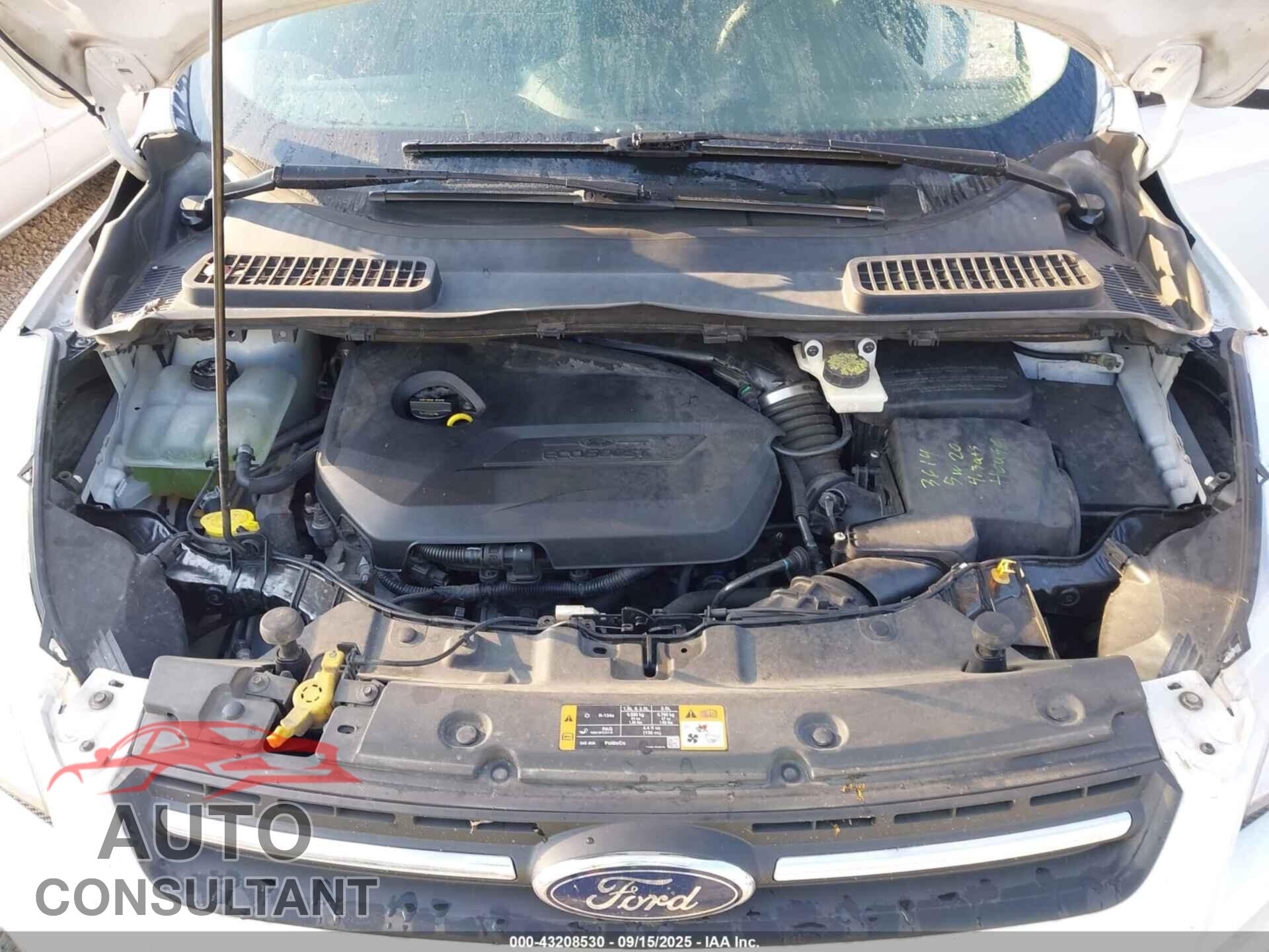 FORD ESCAPE 2014 - 1FMCU9GX2EUD32199