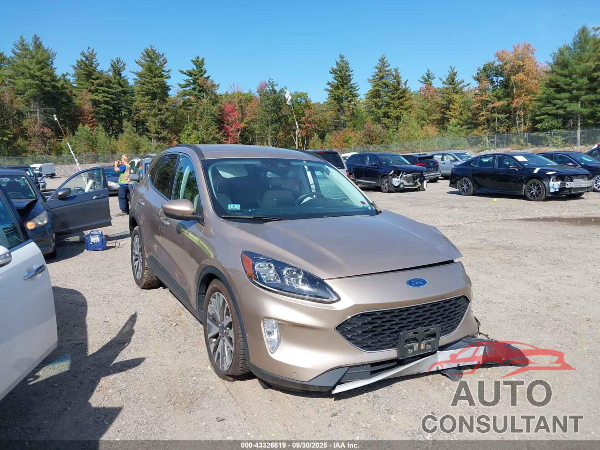 FORD ESCAPE 2021 - 1FMCU9DZ3MUA65370