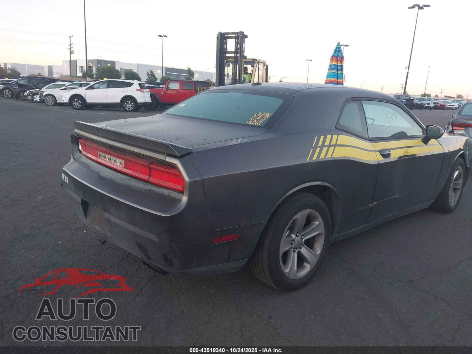 DODGE CHALLENGER 2014 - 2C3CDYAG3EH295128
