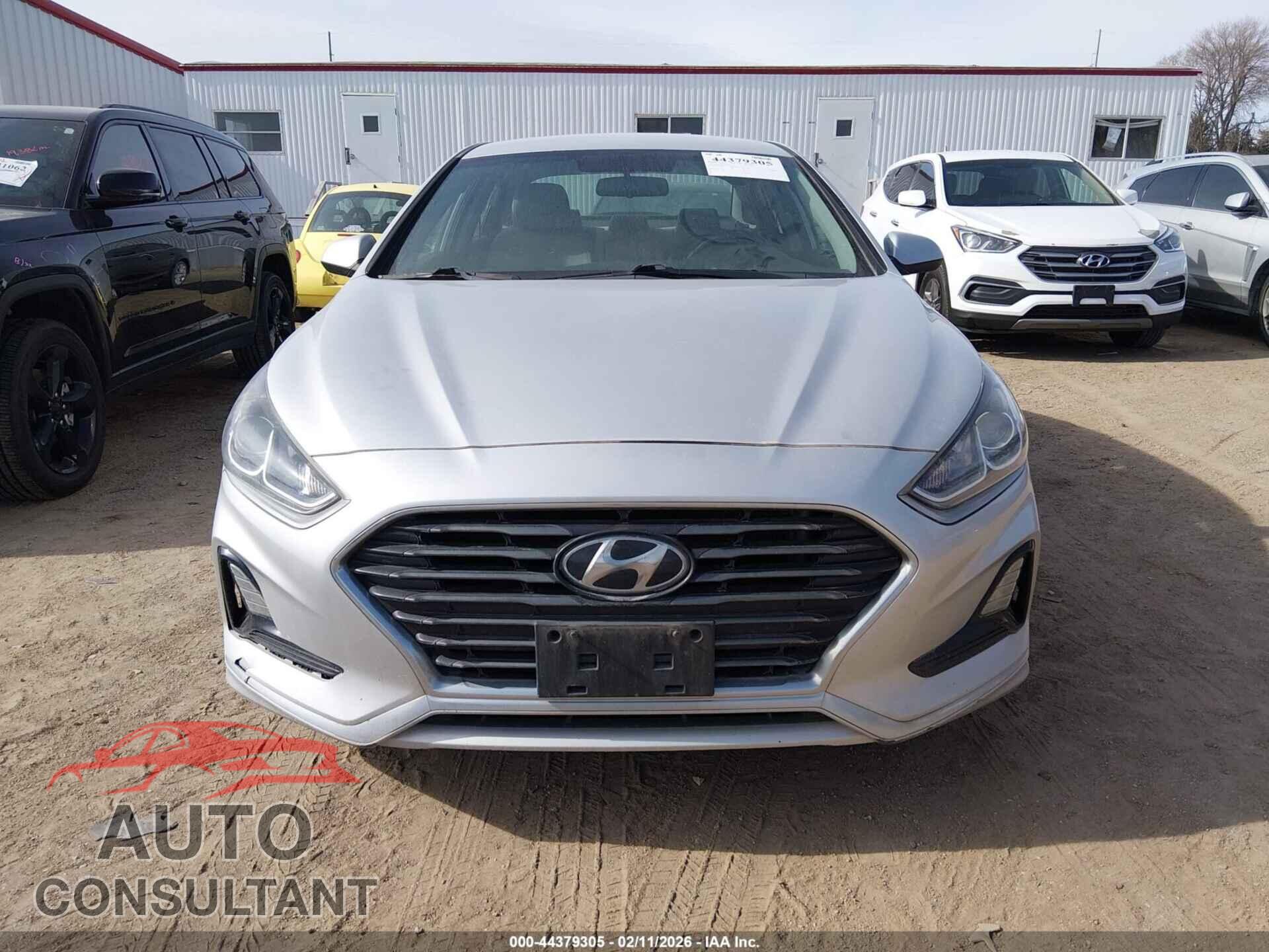 HYUNDAI SONATA 2019 - 5NPE24AF6KH813407