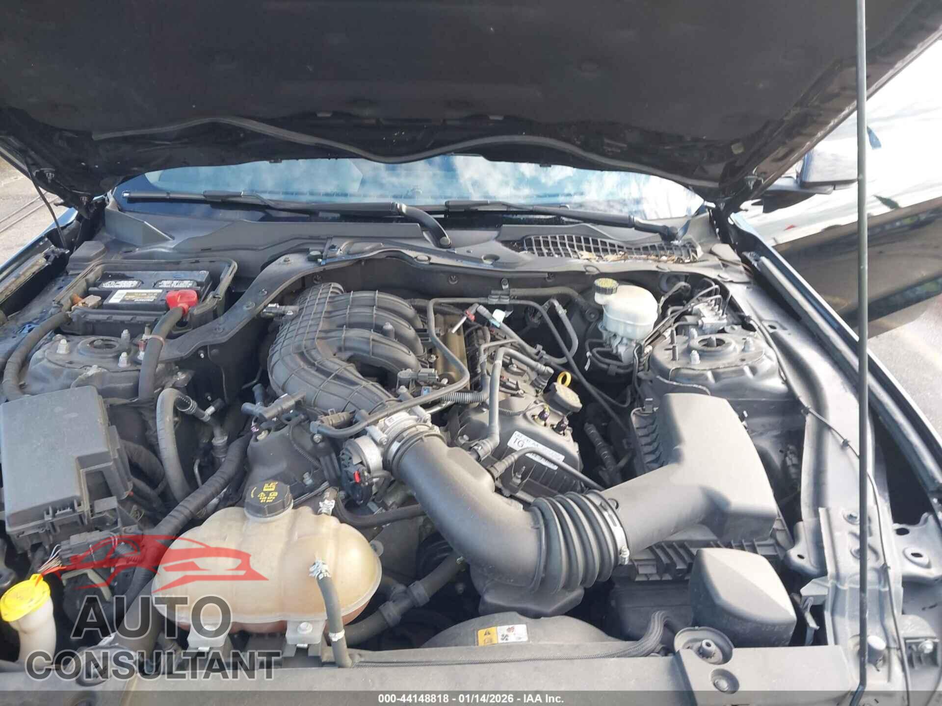FORD MUSTANG 2016 - 1FA6P8AM6G5218548