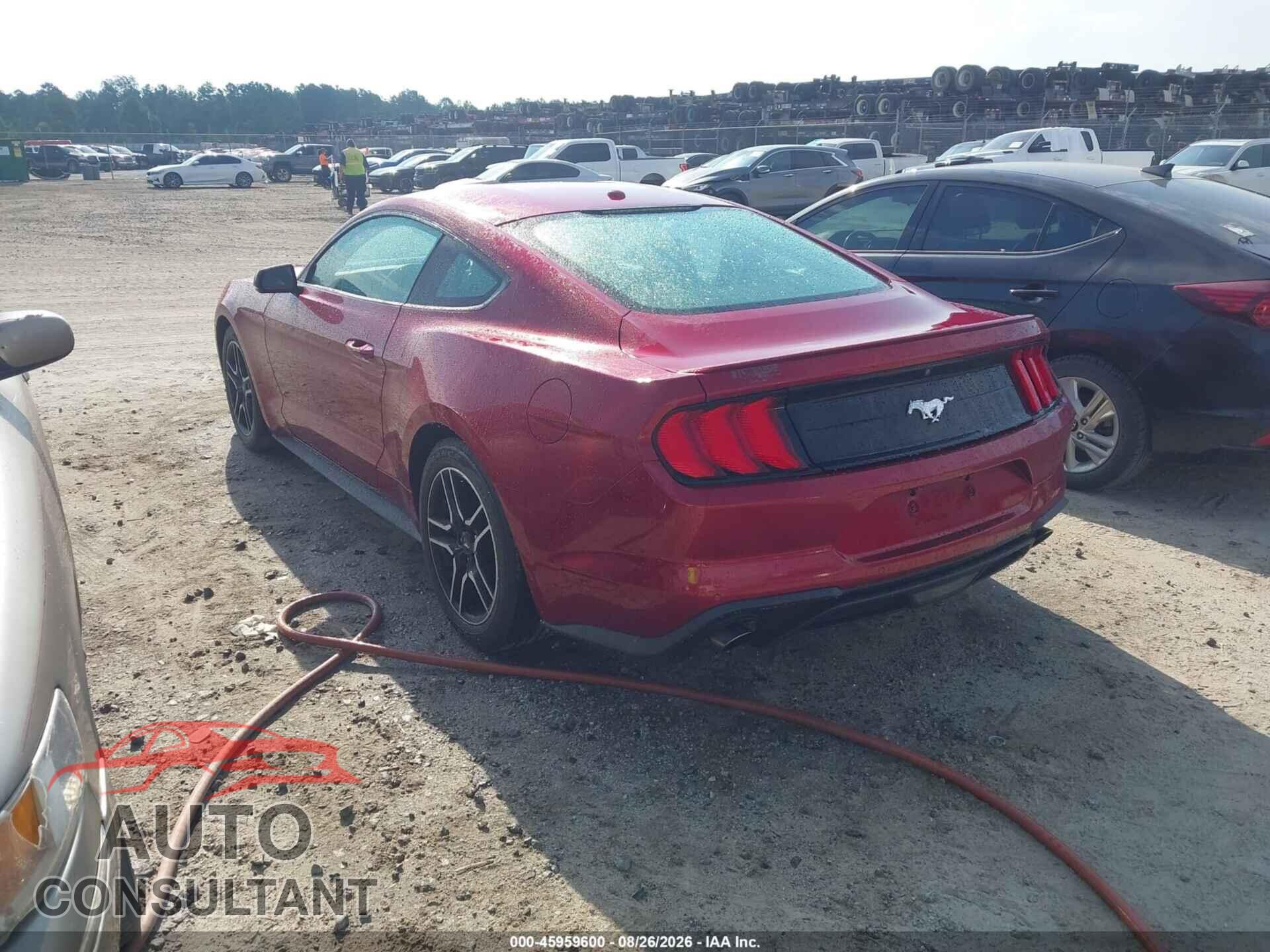 FORD MUSTANG 2019 - 1FA6P8TH2K5116477
