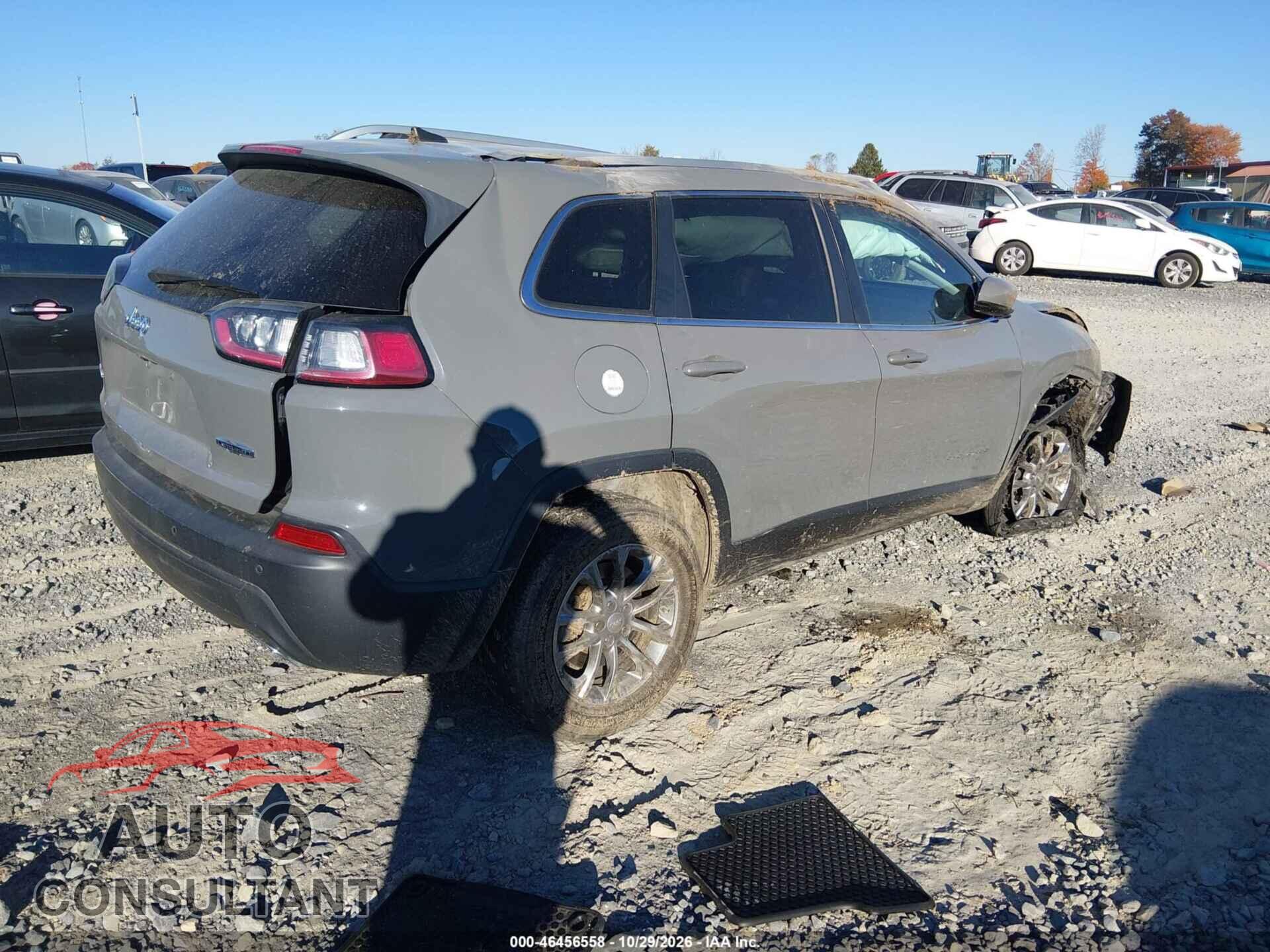 JEEP CHEROKEE 2019 - 1C4PJMLX8KD413596