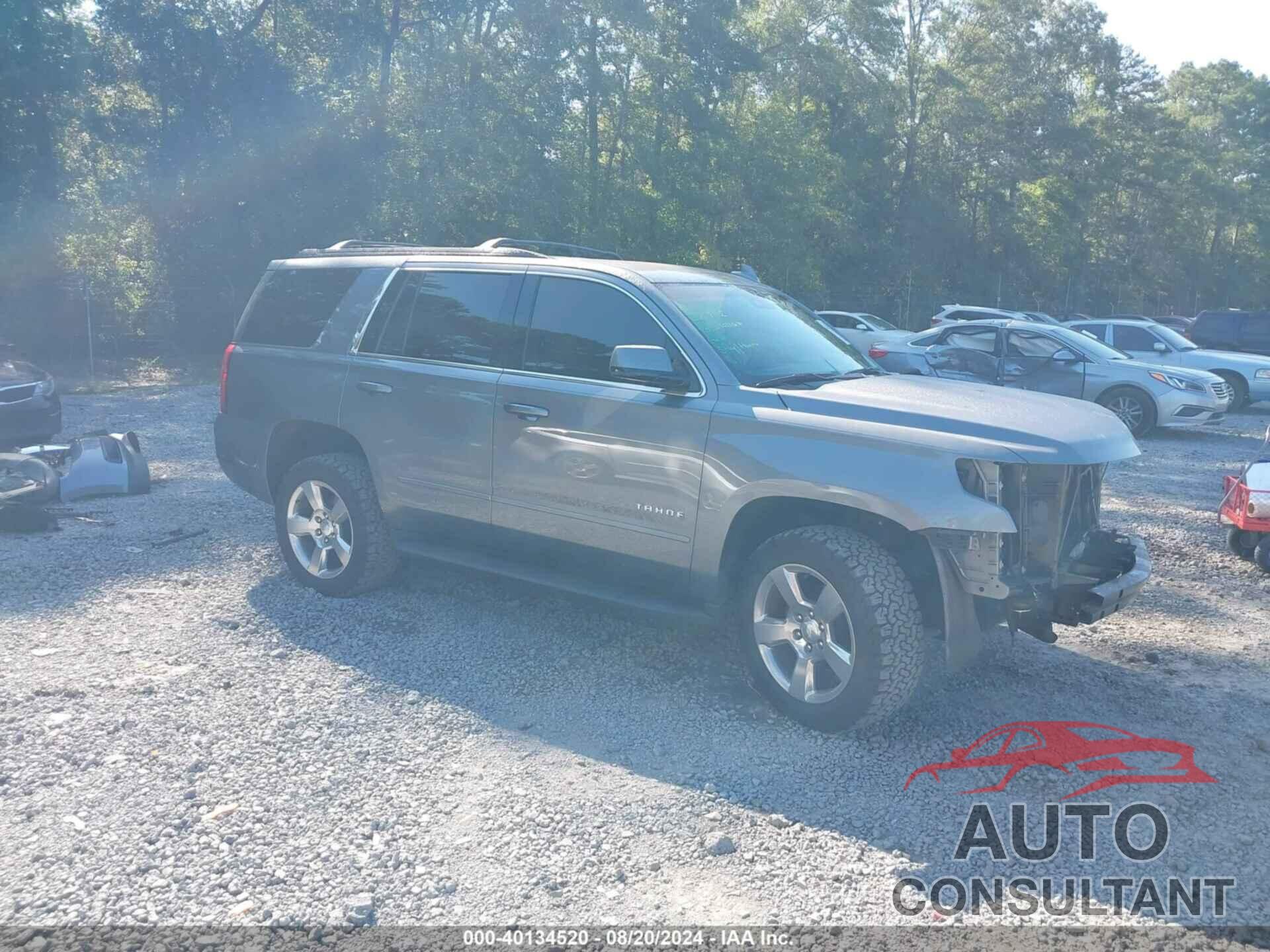 CHEVROLET TAHOE 2019 - 1GNSKAKC3KR338949