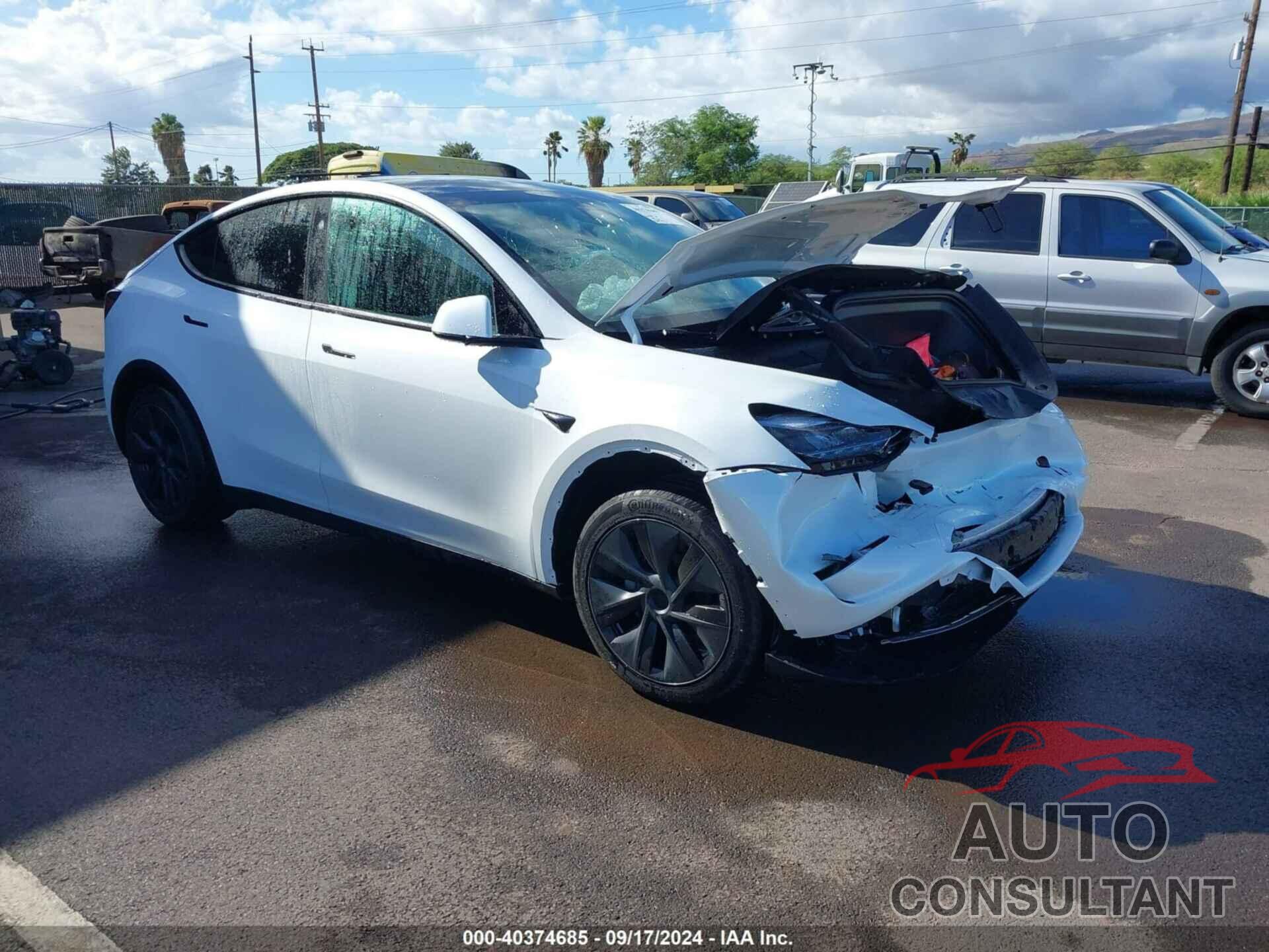 TESLA MODEL Y 2024 - 7SAYGDED2RF094899