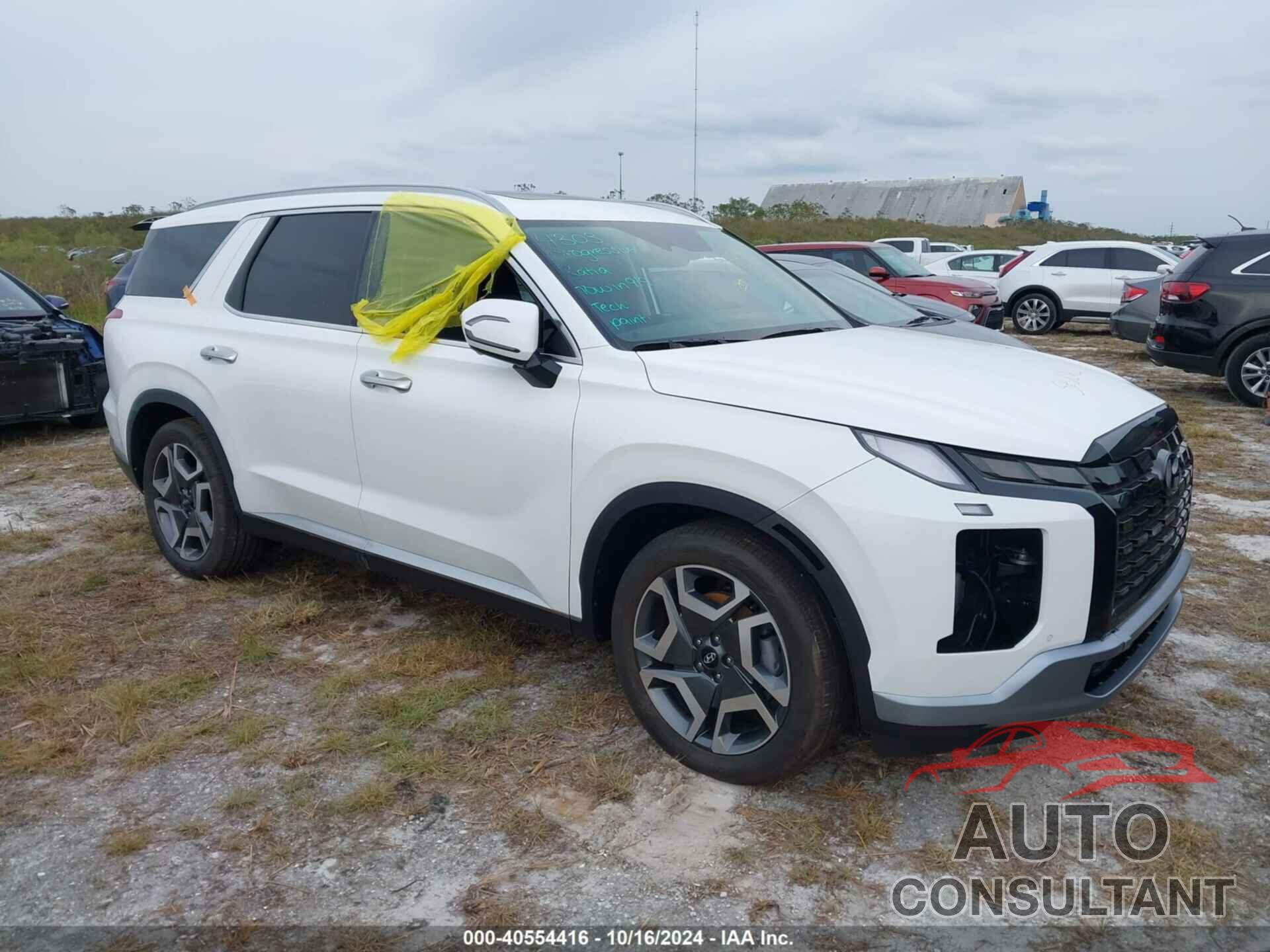 HYUNDAI PALISADE 2025 - KM8R44GE6SU822104