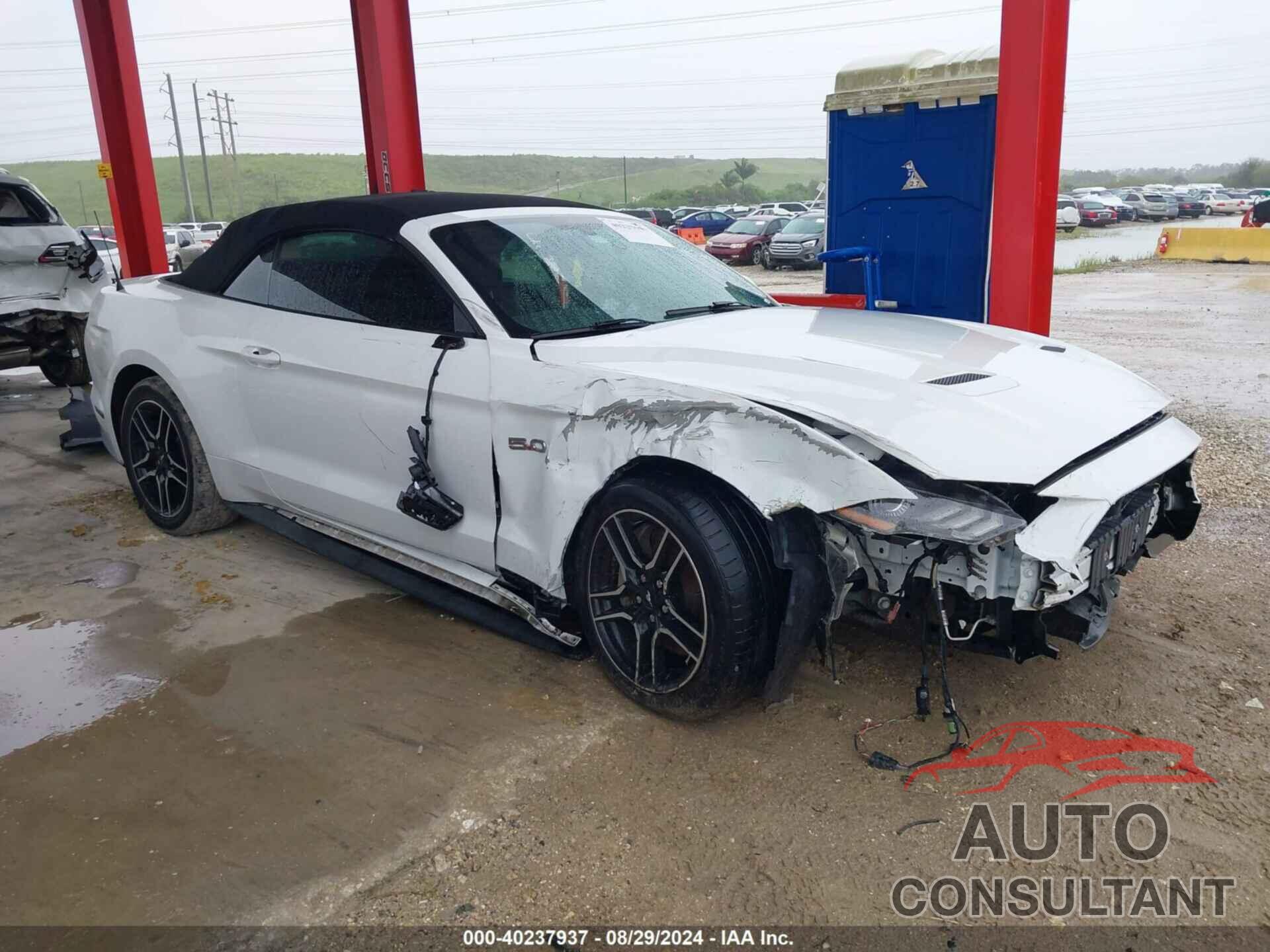 FORD MUSTANG 2019 - 1FATP8FF6K5138446