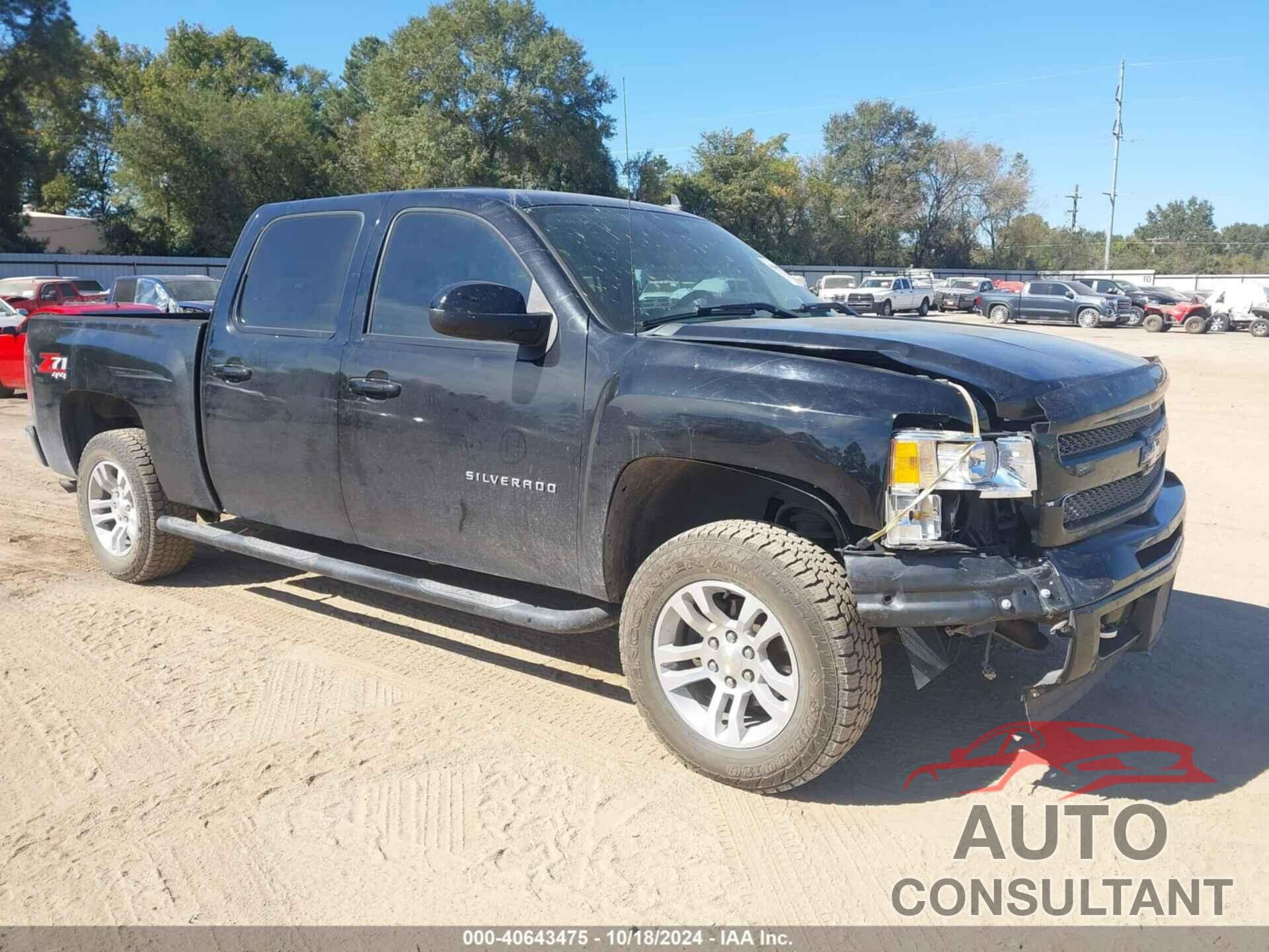 CHEVROLET SILVERADO 1500 2011 - 3GCPKSE38BG271345