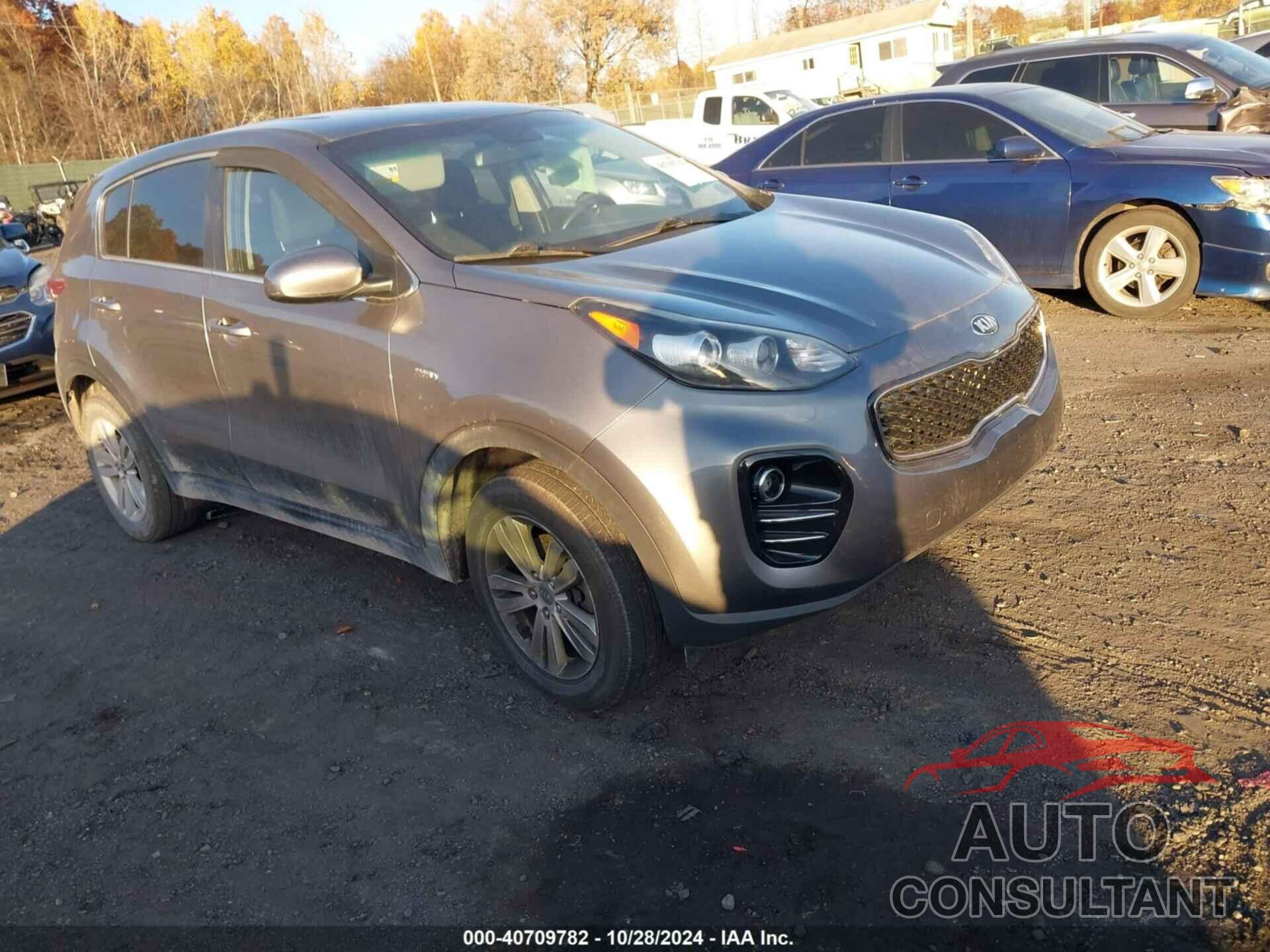 KIA SPORTAGE 2019 - KNDPMCAC7K7527203