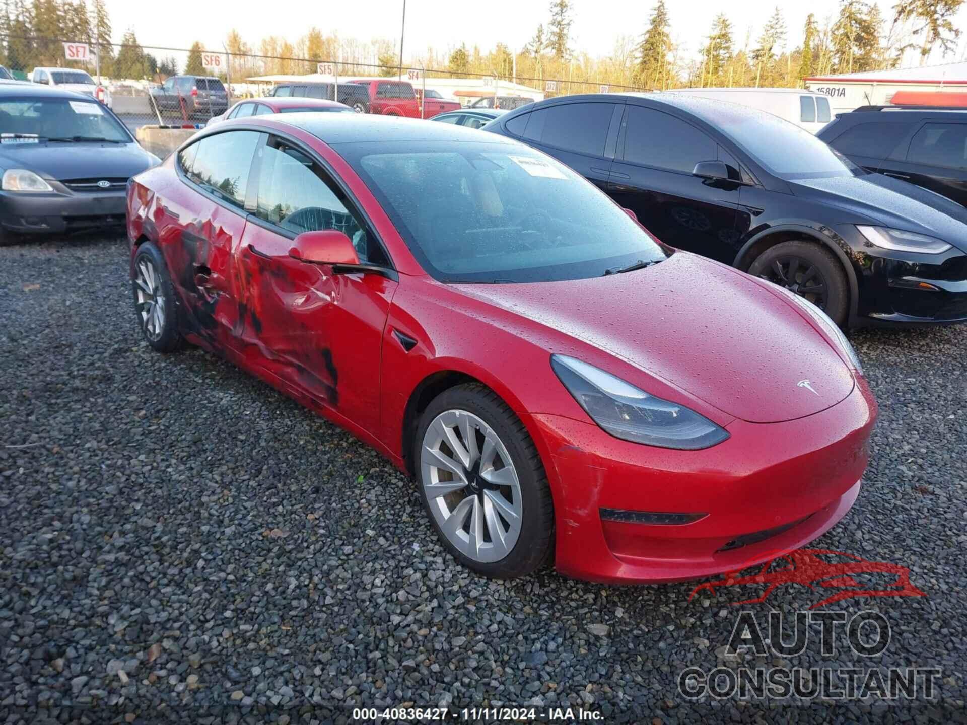 TESLA MODEL 3 2021 - 5YJ3E1EA8MF088244