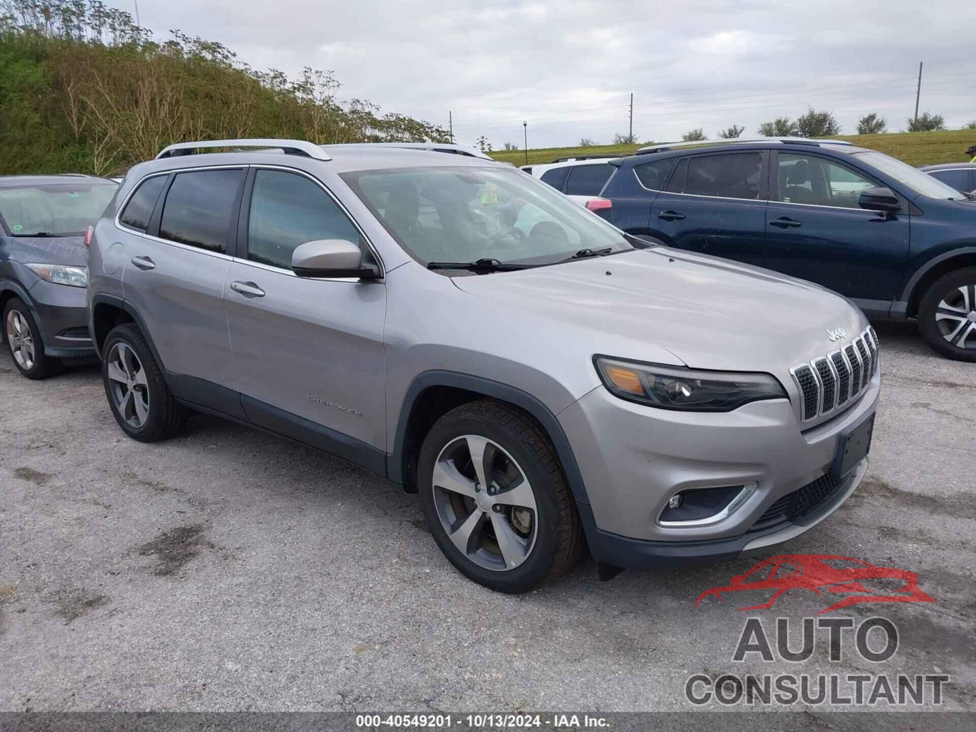 JEEP CHEROKEE 2019 - 1C4PJLDB1KD438627