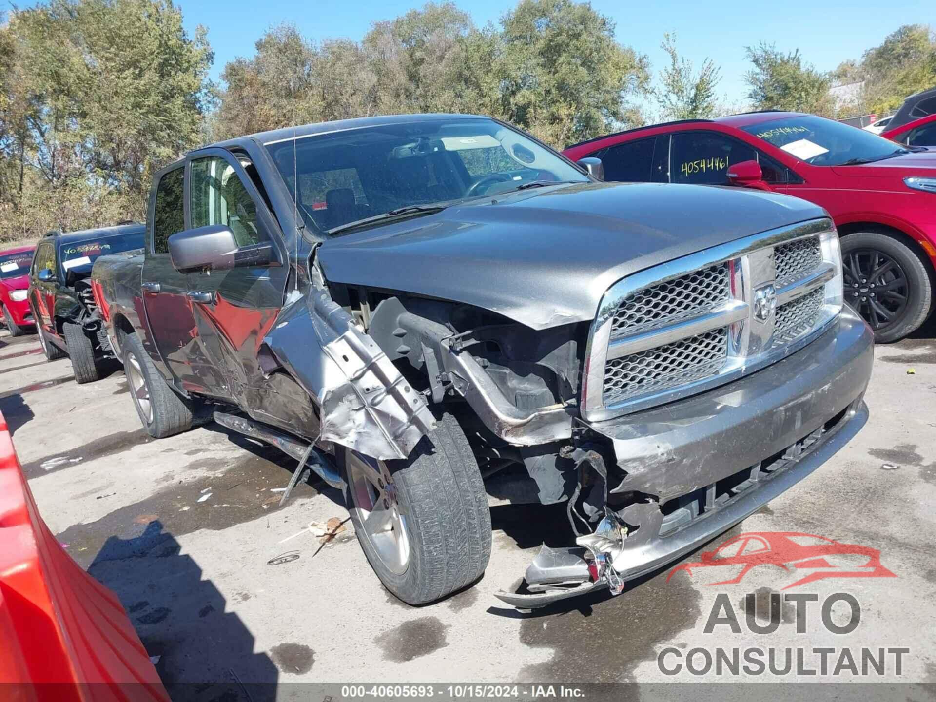 DODGE RAM 1500 2009 - 1D3HB13T59S704129