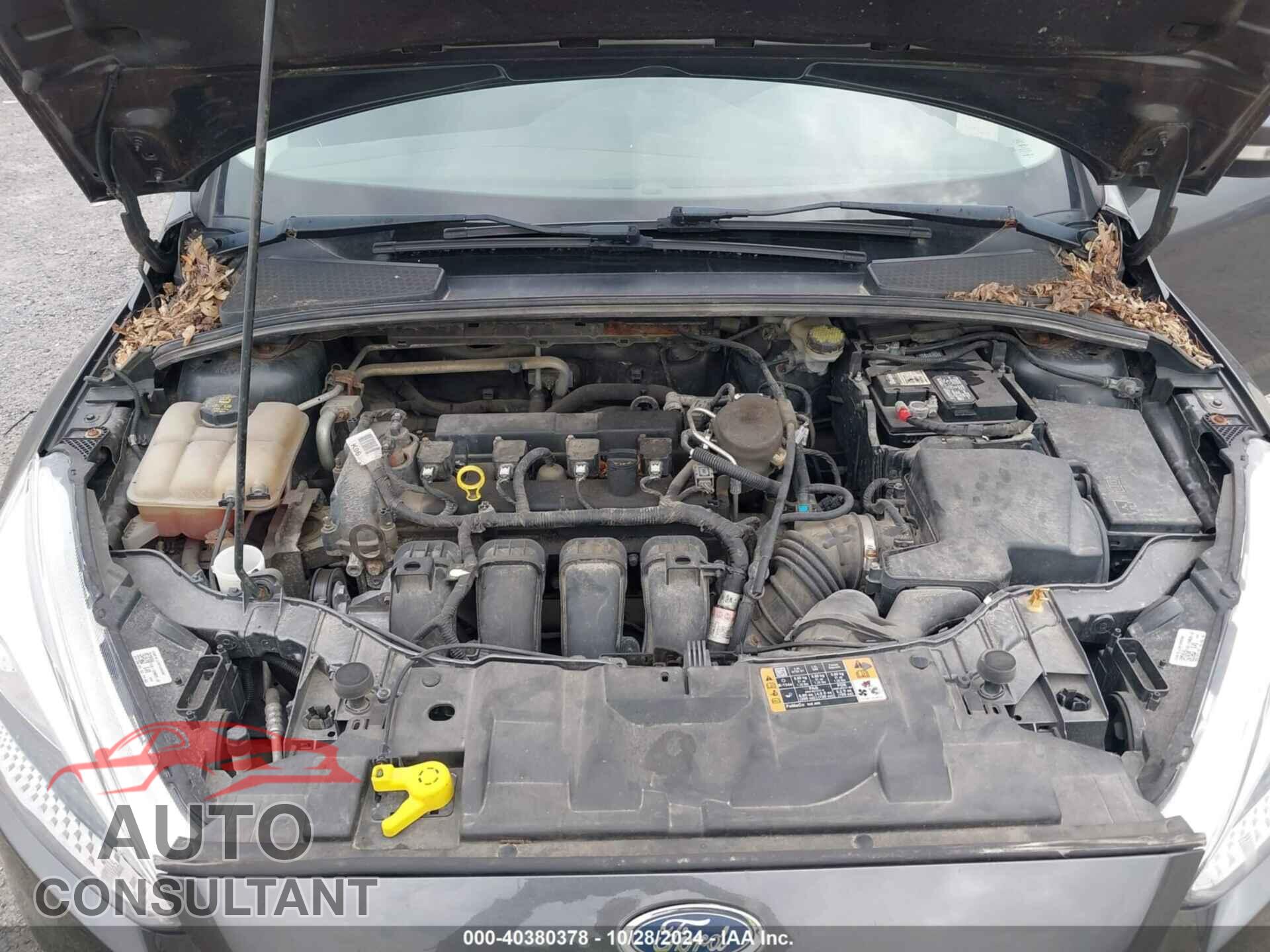 FORD FOCUS 2016 - 1FADP3F2XGL280855