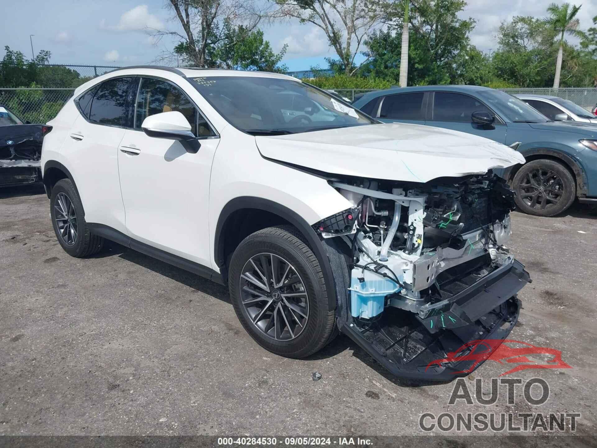 LEXUS NX 350 2024 - JTJGGCEZ4R5010000