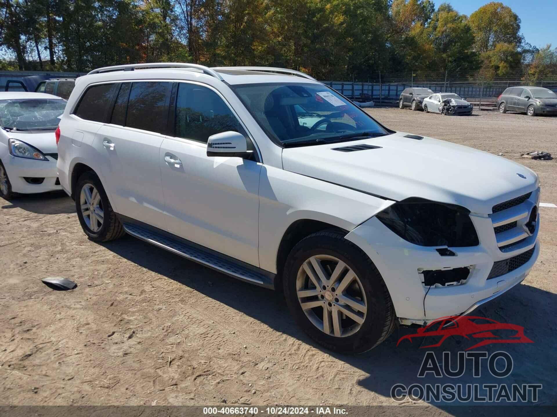 MERCEDES-BENZ GL 450 2014 - 4JGDF7CE4EA407204