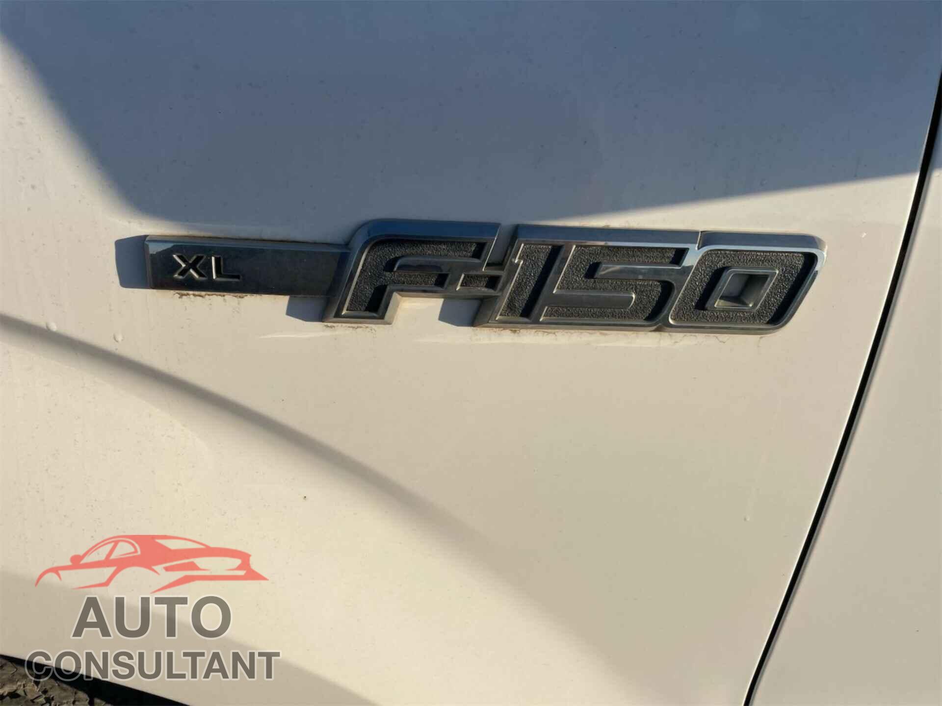 FORD F150 2012 - 1FTFX1CF9CFD02416