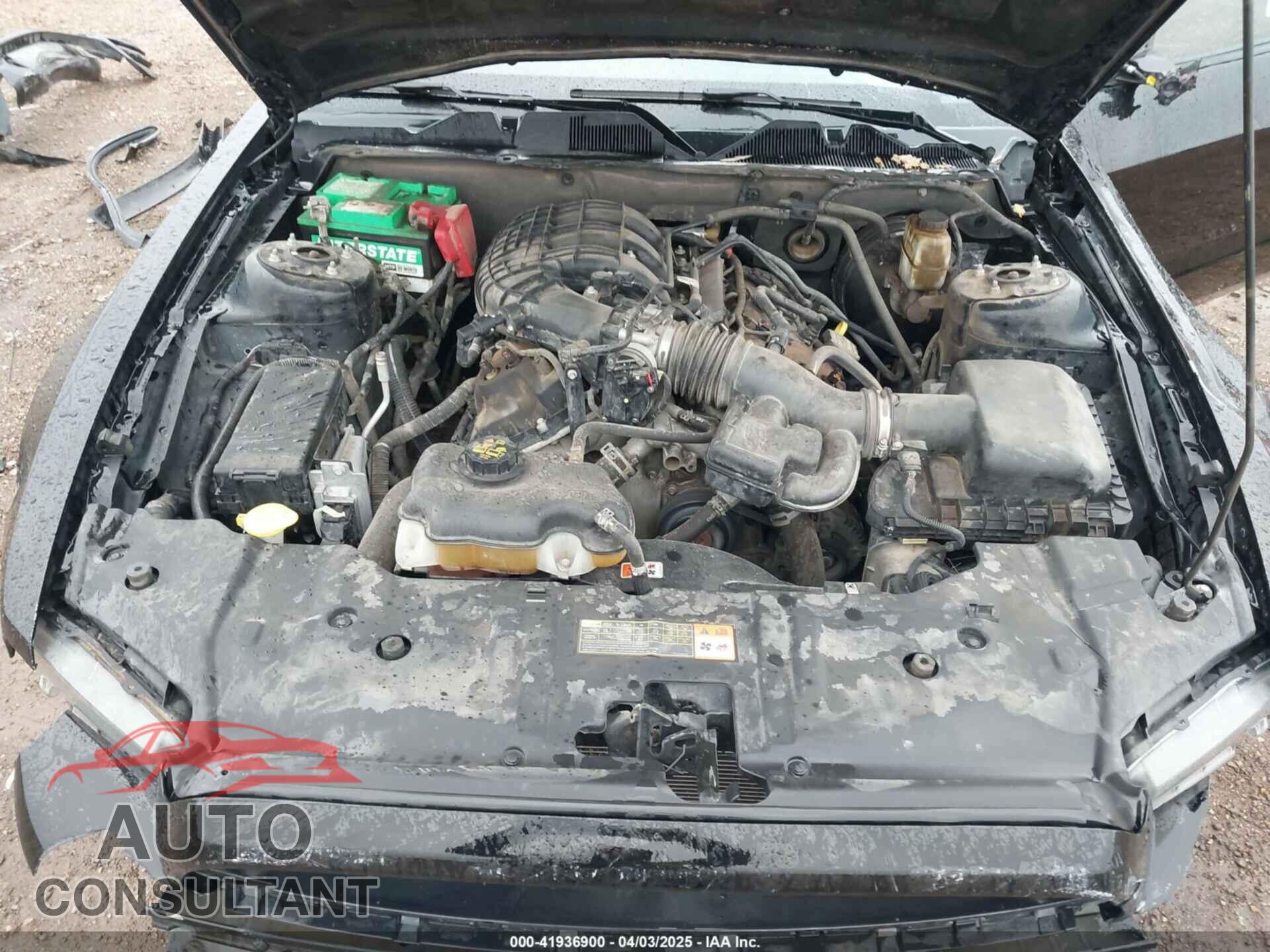 FORD MUSTANG 2014 - 1ZVBP8AM4E5259182