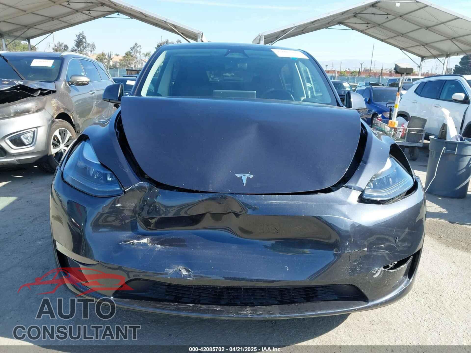 TESLA MODEL Y 2024 - 7SAYGDEEXRF146109