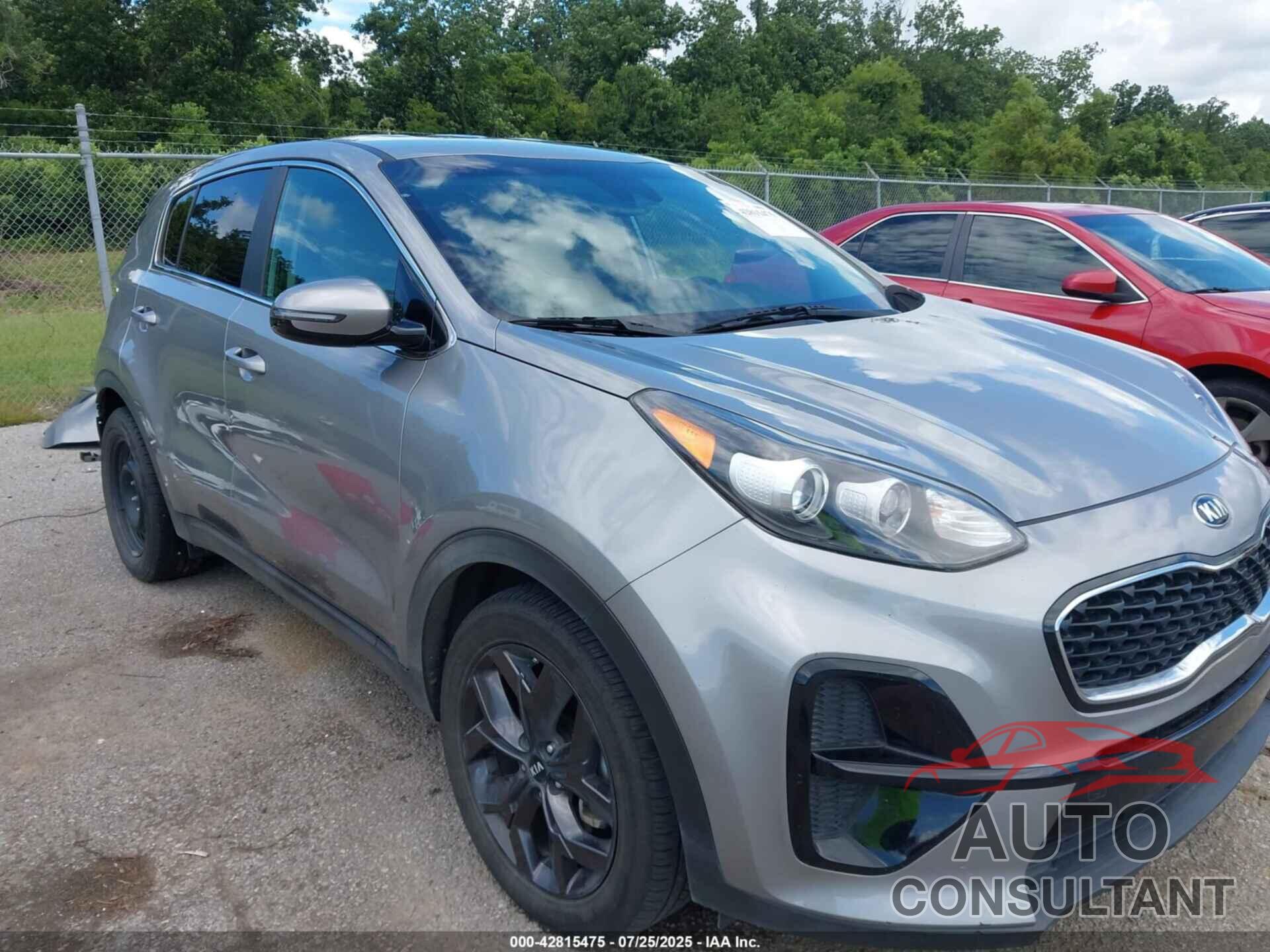 KIA SPORTAGE 2022 - KNDPM3AC9N7974846