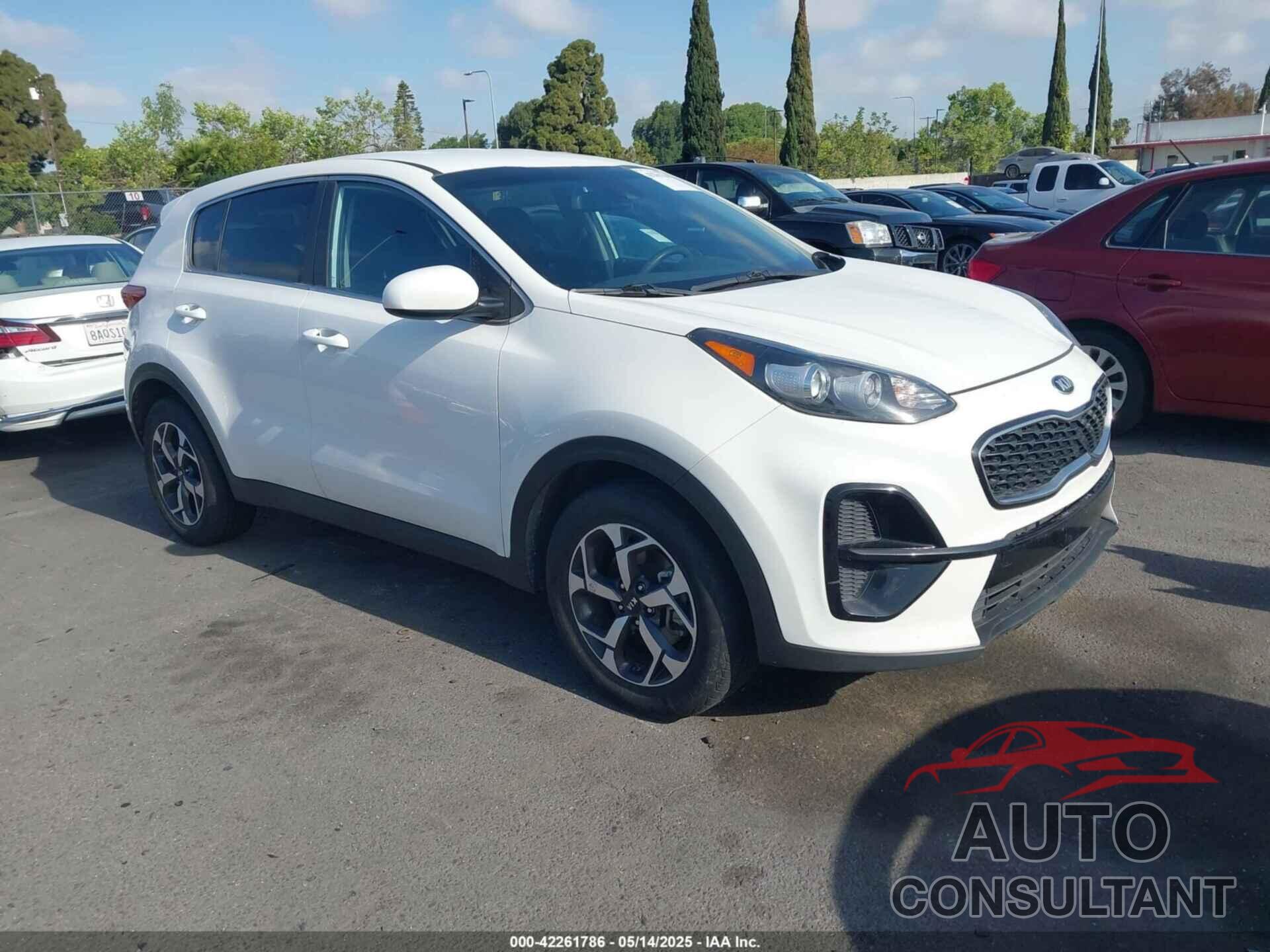 KIA SPORTAGE 2020 - KNDPM3AC4L7708065