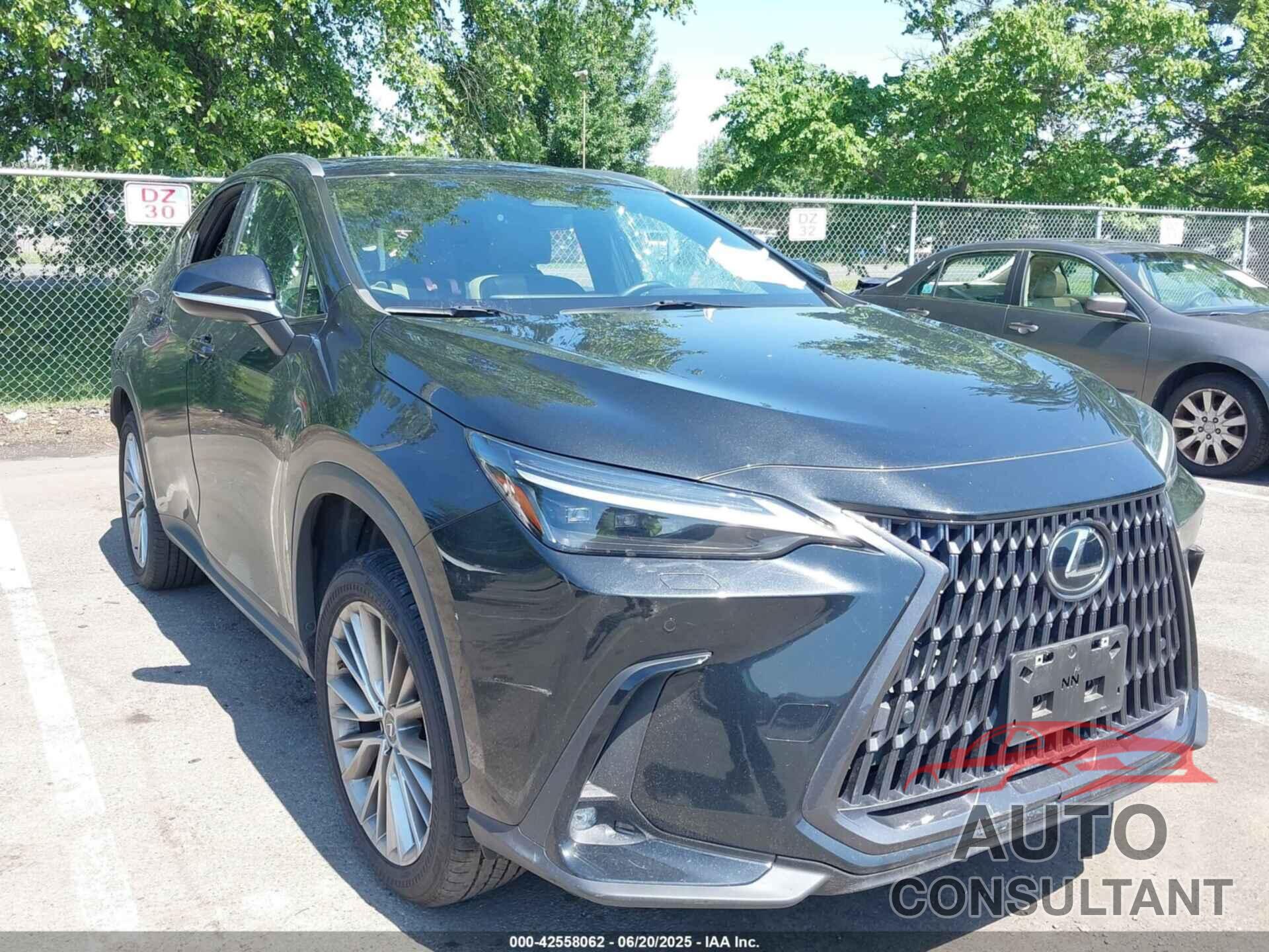 LEXUS NX 350 2022 - JTJHGCEZ5N2004514