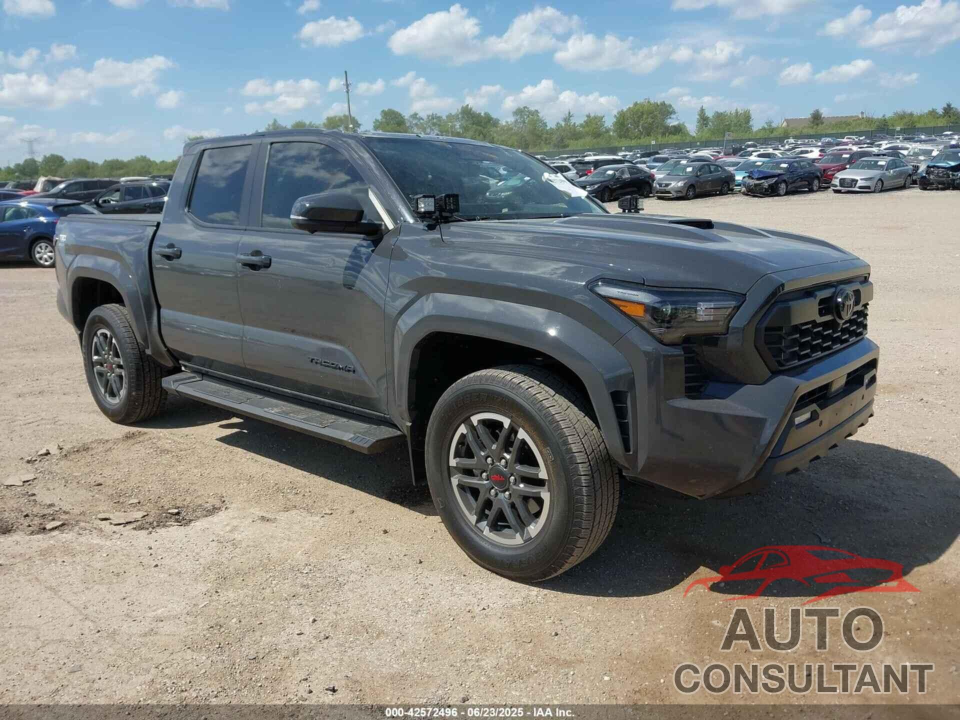 TOYOTA TACOMA 2024 - 3TMLB5JN2RM054571