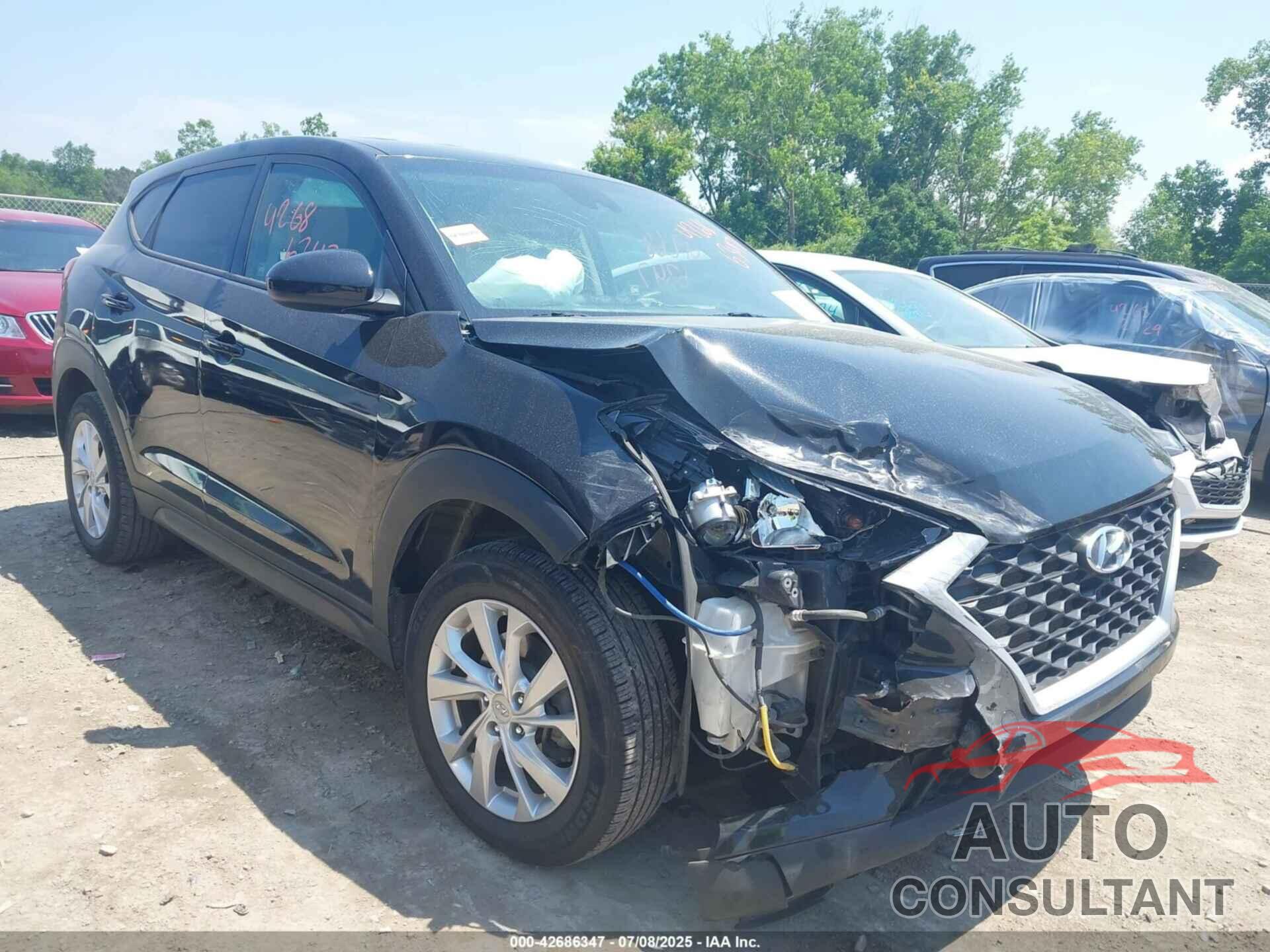 HYUNDAI TUCSON 2019 - KM8J2CA40KU916699