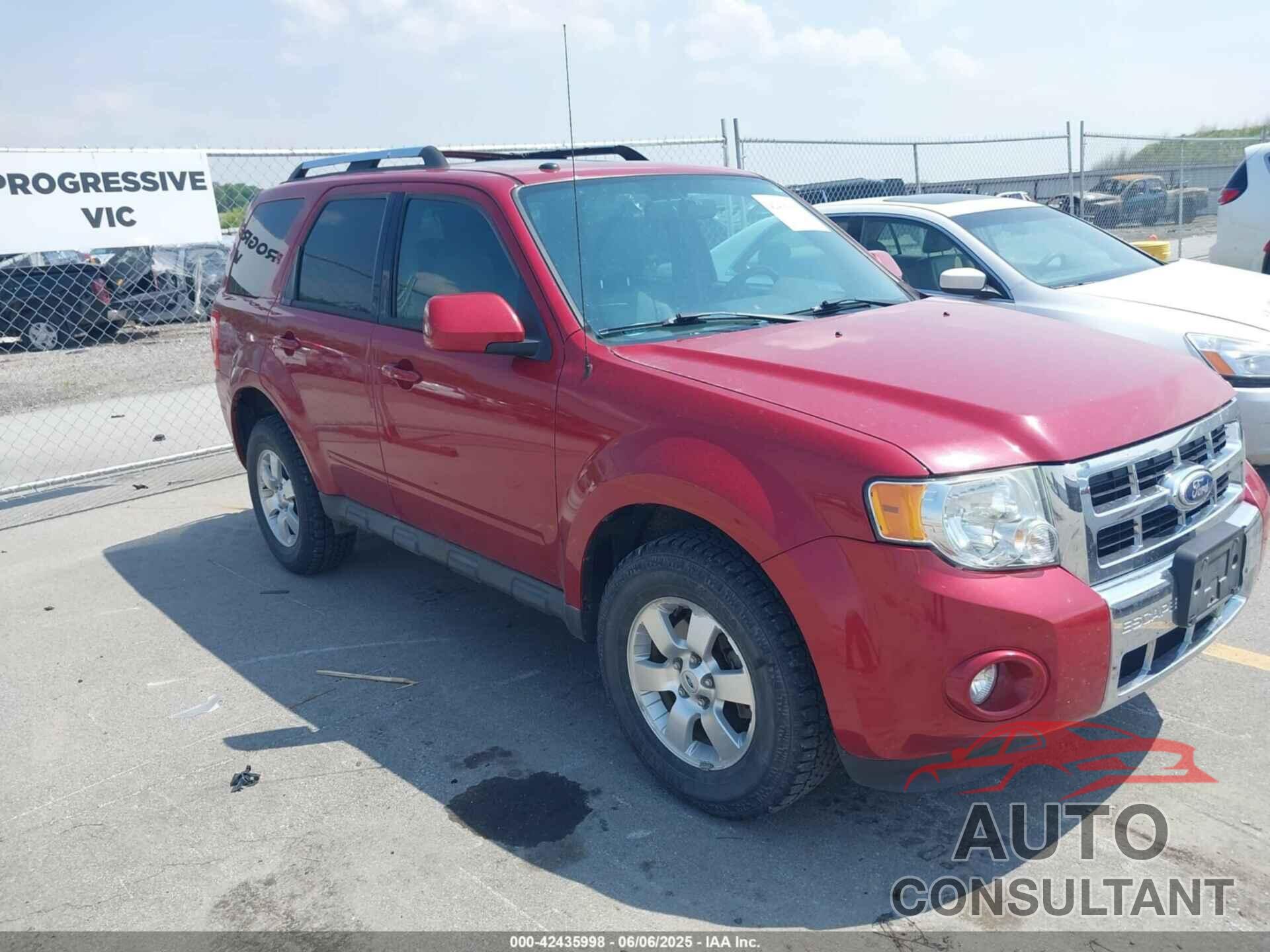 FORD ESCAPE 2010 - 1FMCU9EGXAKB10311