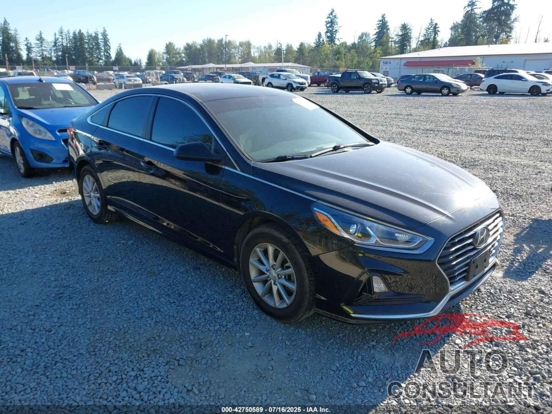 HYUNDAI SONATA 2019 - 5NPE24AF2KH819639