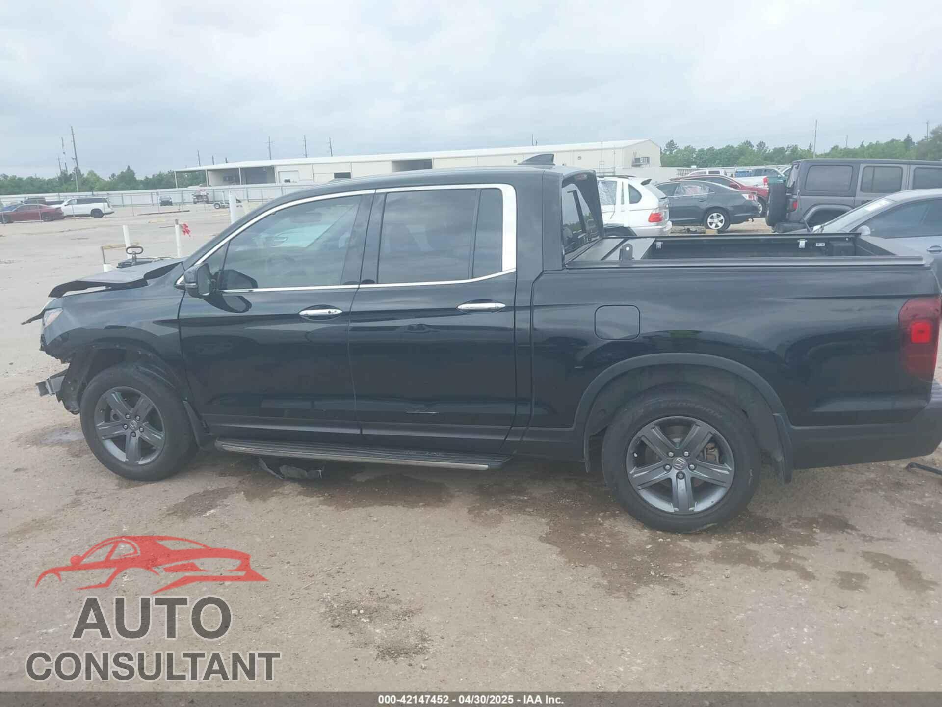 HONDA RIDGELINE 2021 - 5FPYK3F71MB018153