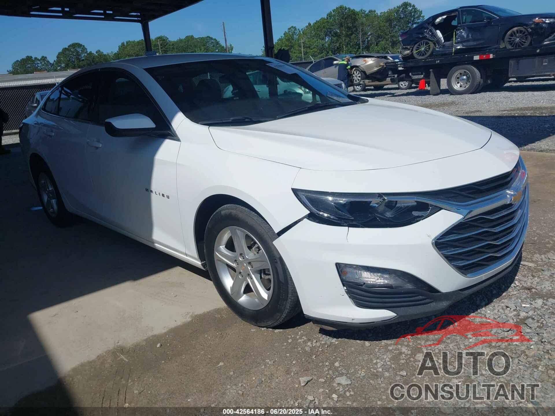 CHEVROLET MALIBU 2024 - 1G1ZD5ST3RF130194