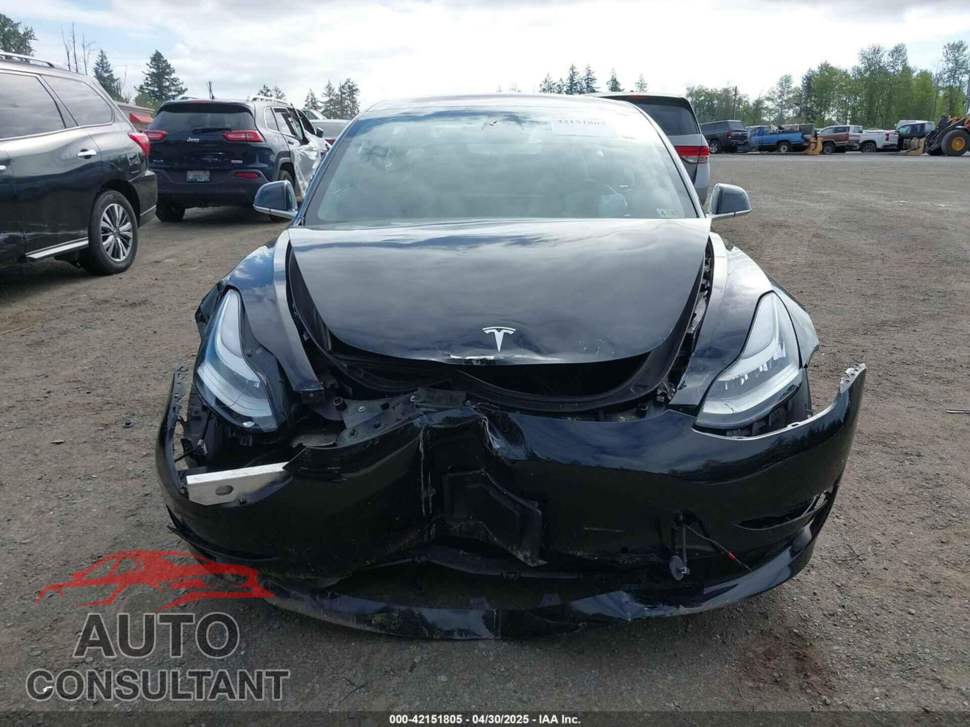 TESLA MODEL 3 2019 - 5YJ3E1EB7KF191872