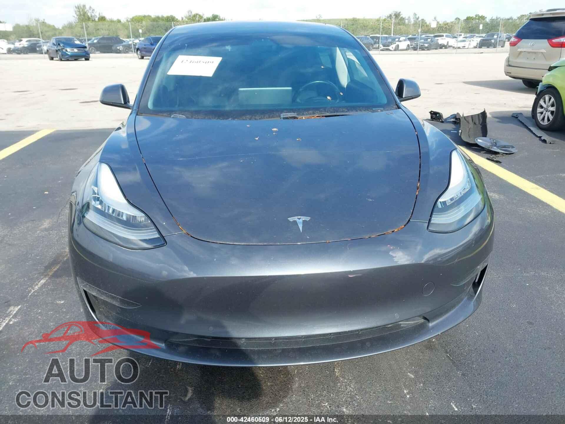 TESLA MODEL 3 2019 - 5YJ3E1EA7KF298301