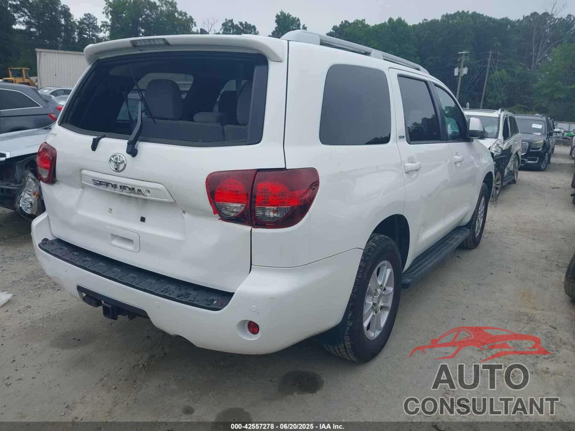 TOYOTA SEQUOIA 2019 - 5TDBY5G16KS170151