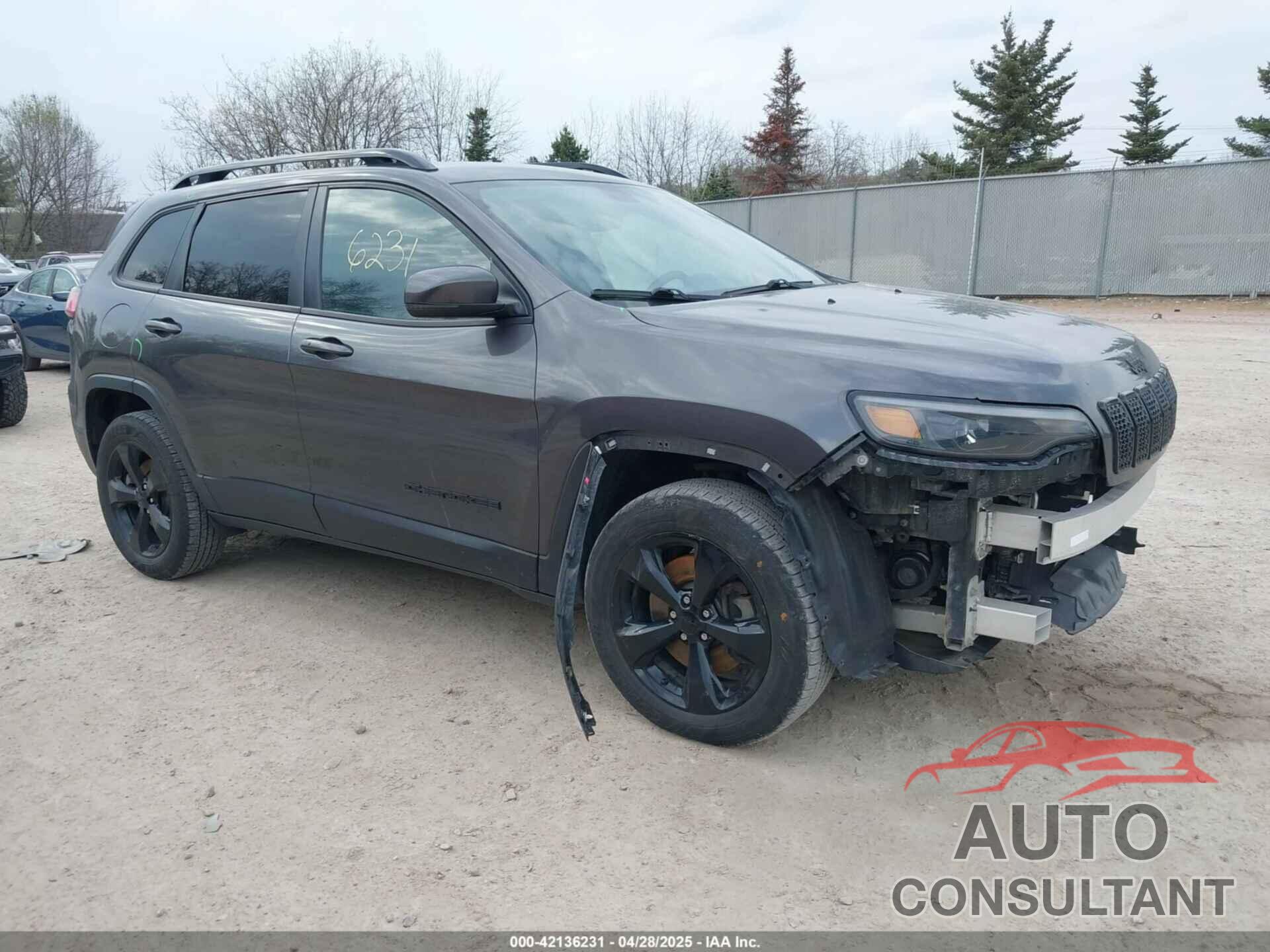 JEEP CHEROKEE 2019 - 1C4PJMLB1KD320682