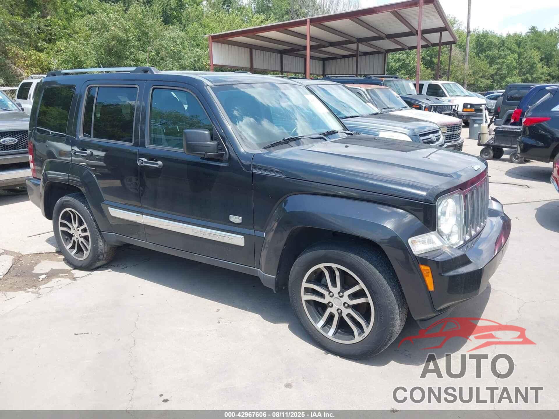 JEEP LIBERTY 2011 - 1J4PN5GK6BW558076