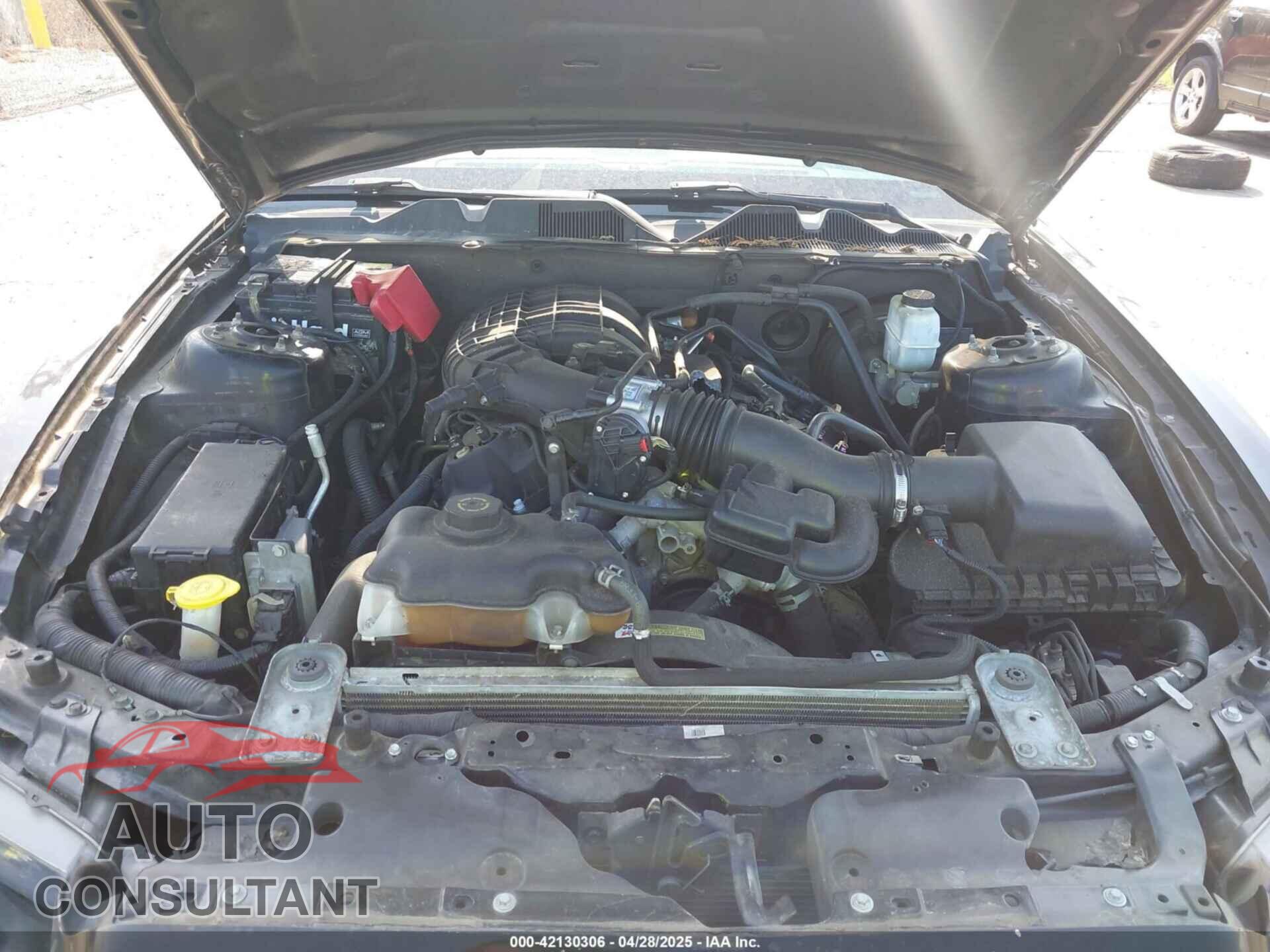 FORD MUSTANG 2014 - 1ZVBP8AM4E5228370